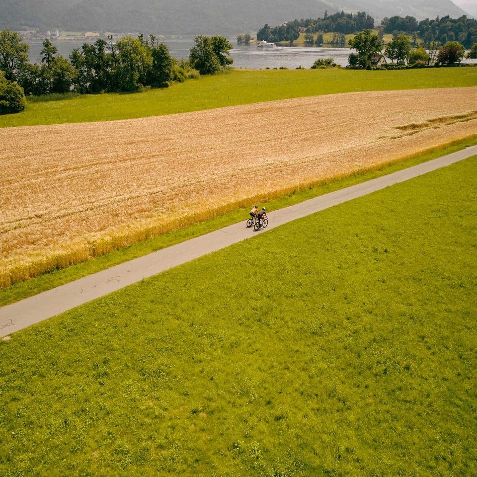 The Bikes