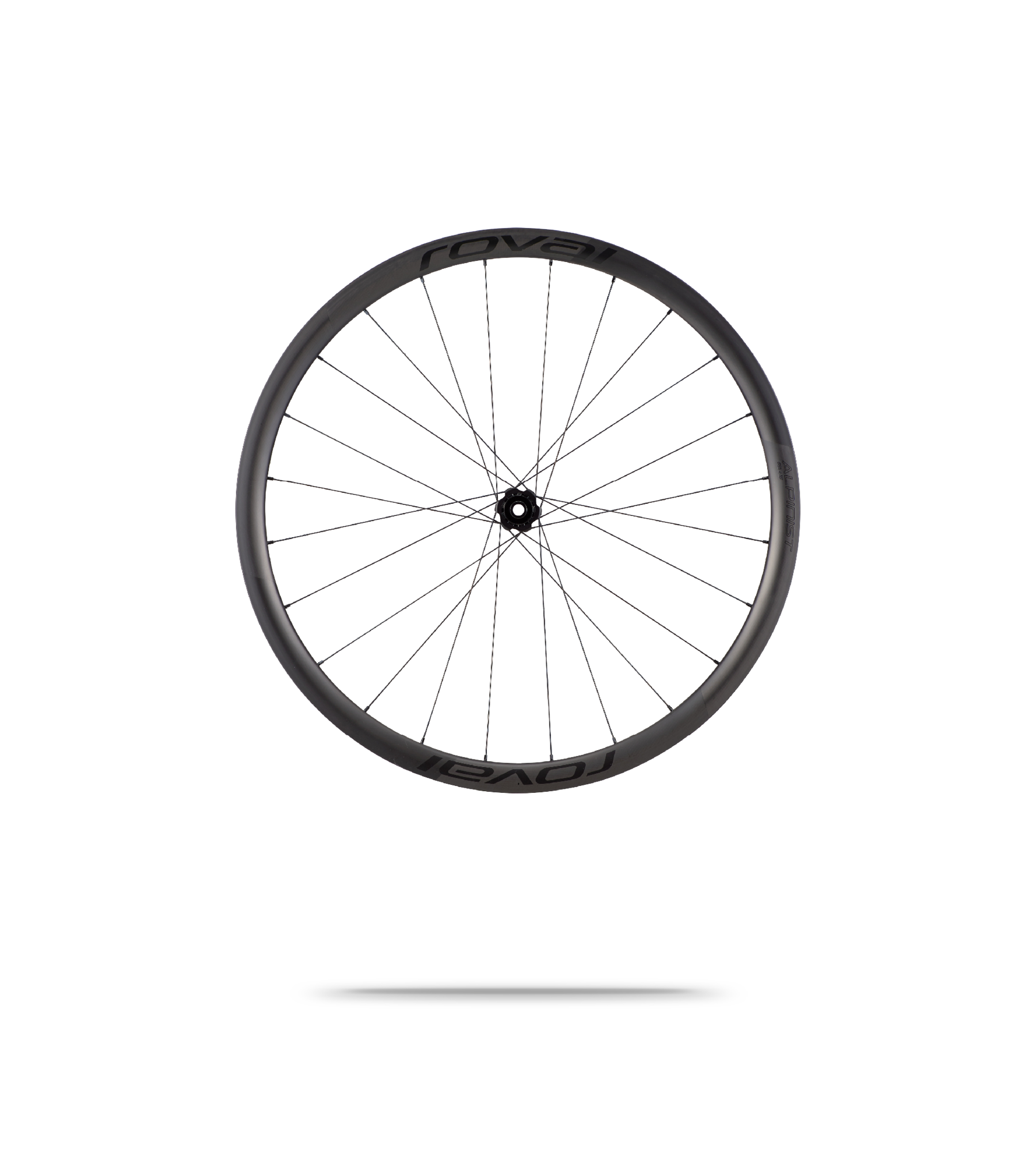 Alpinist CL II Disc Rear Wheel