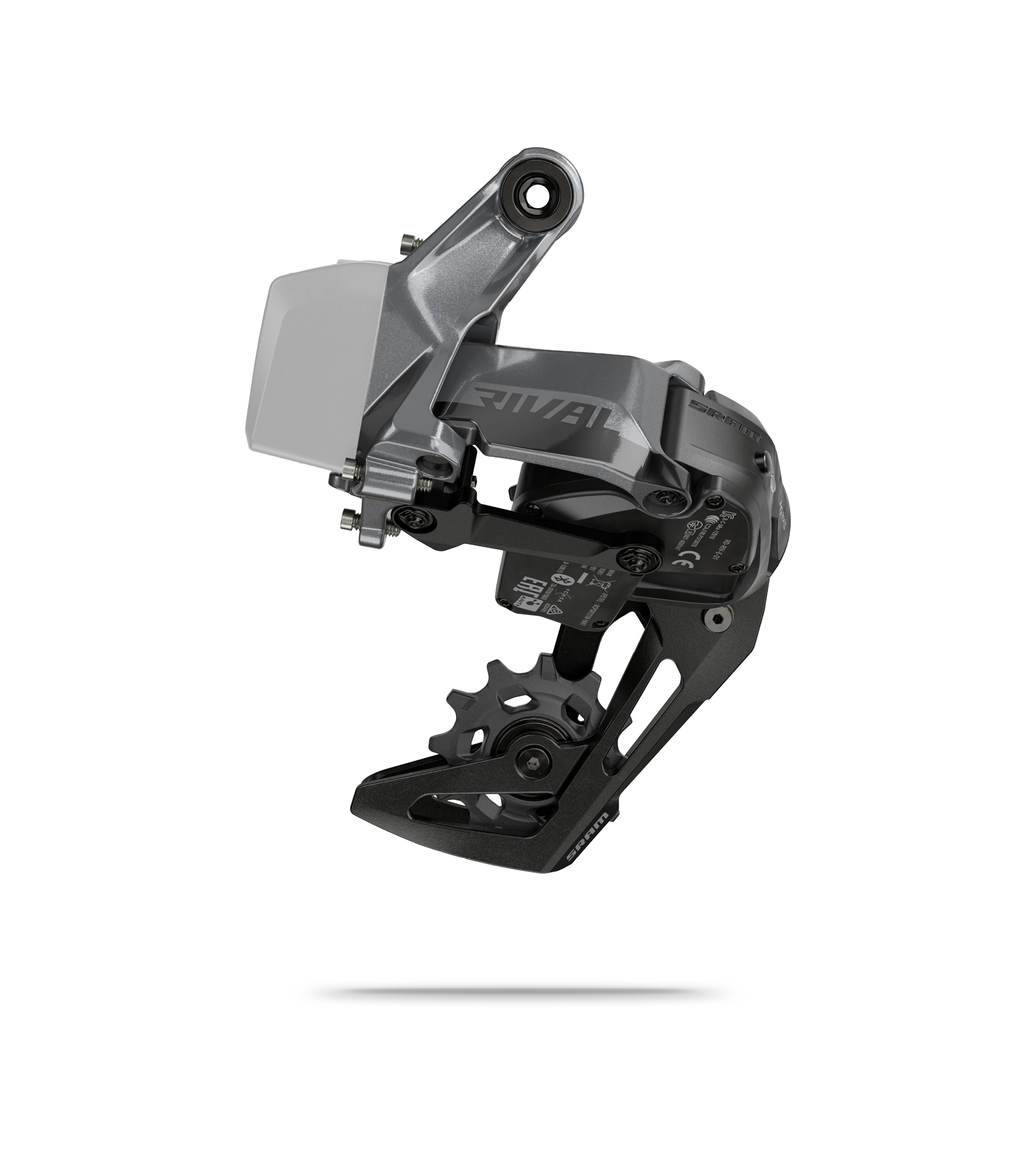 Rival XLPR eTap AXS D1