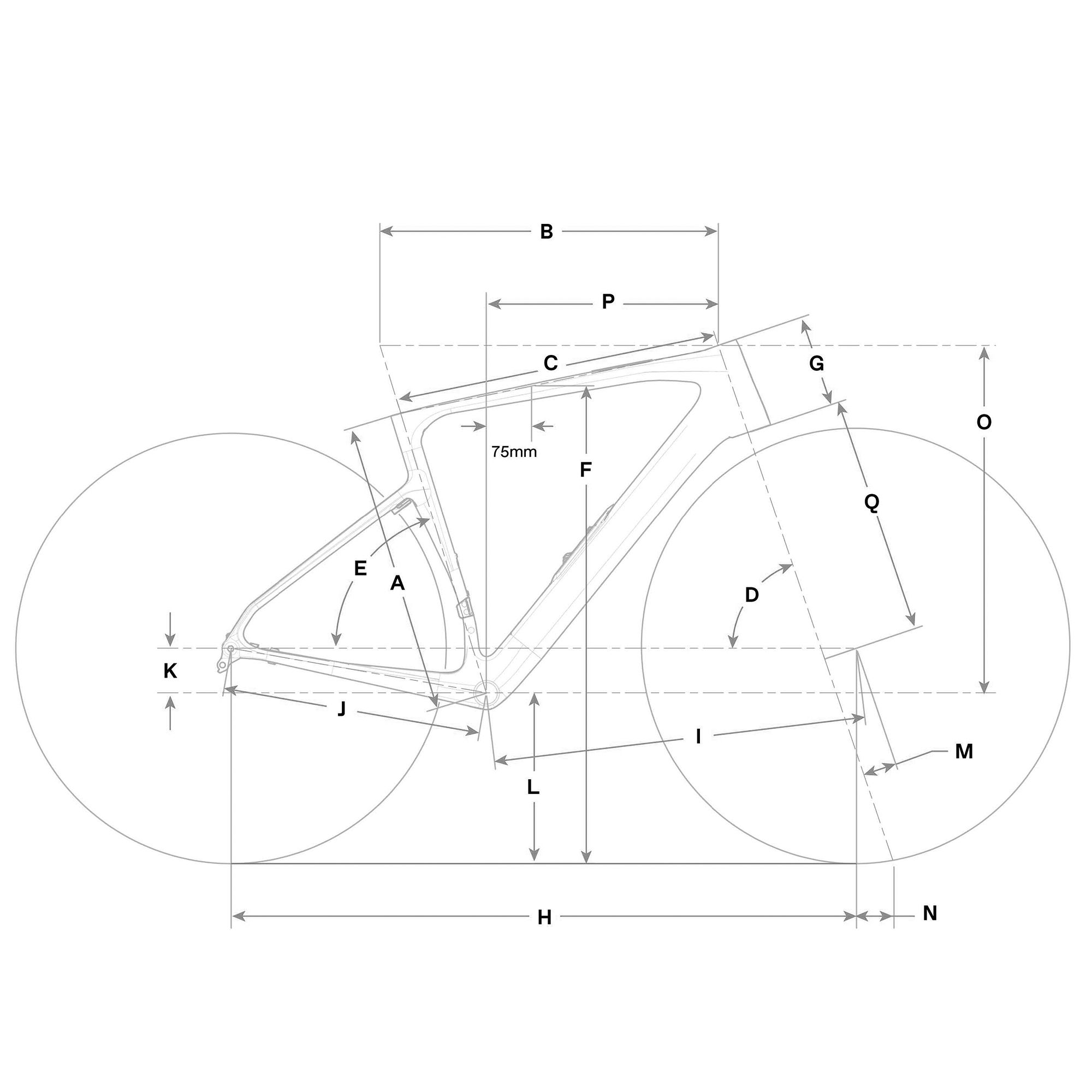 Synapse Carbon 2025