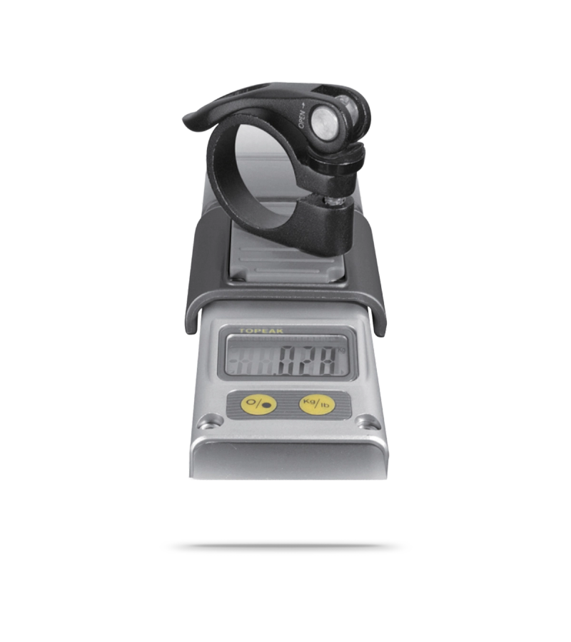 Digital Weight Scale