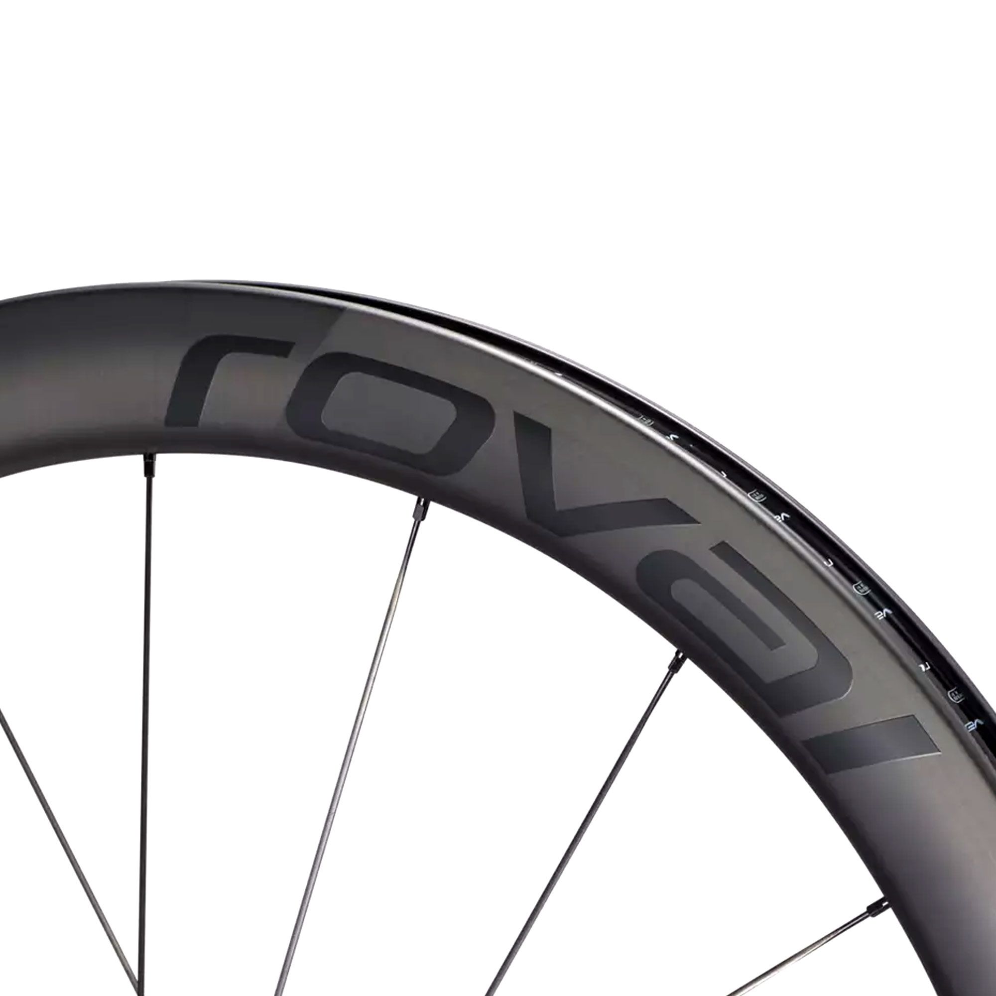 Rapide CLX II Disc Rear Wheel