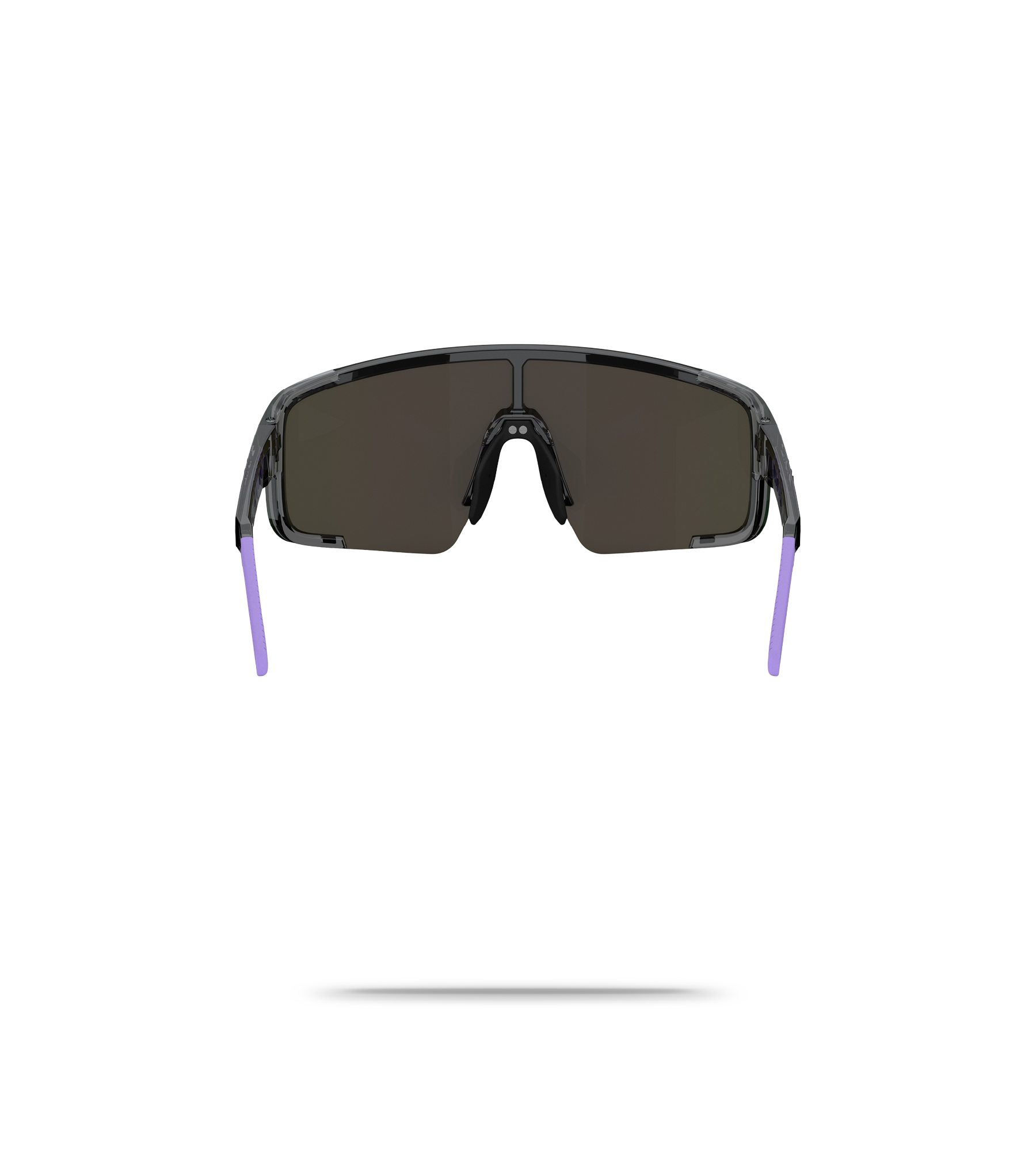P003S Sunglasses