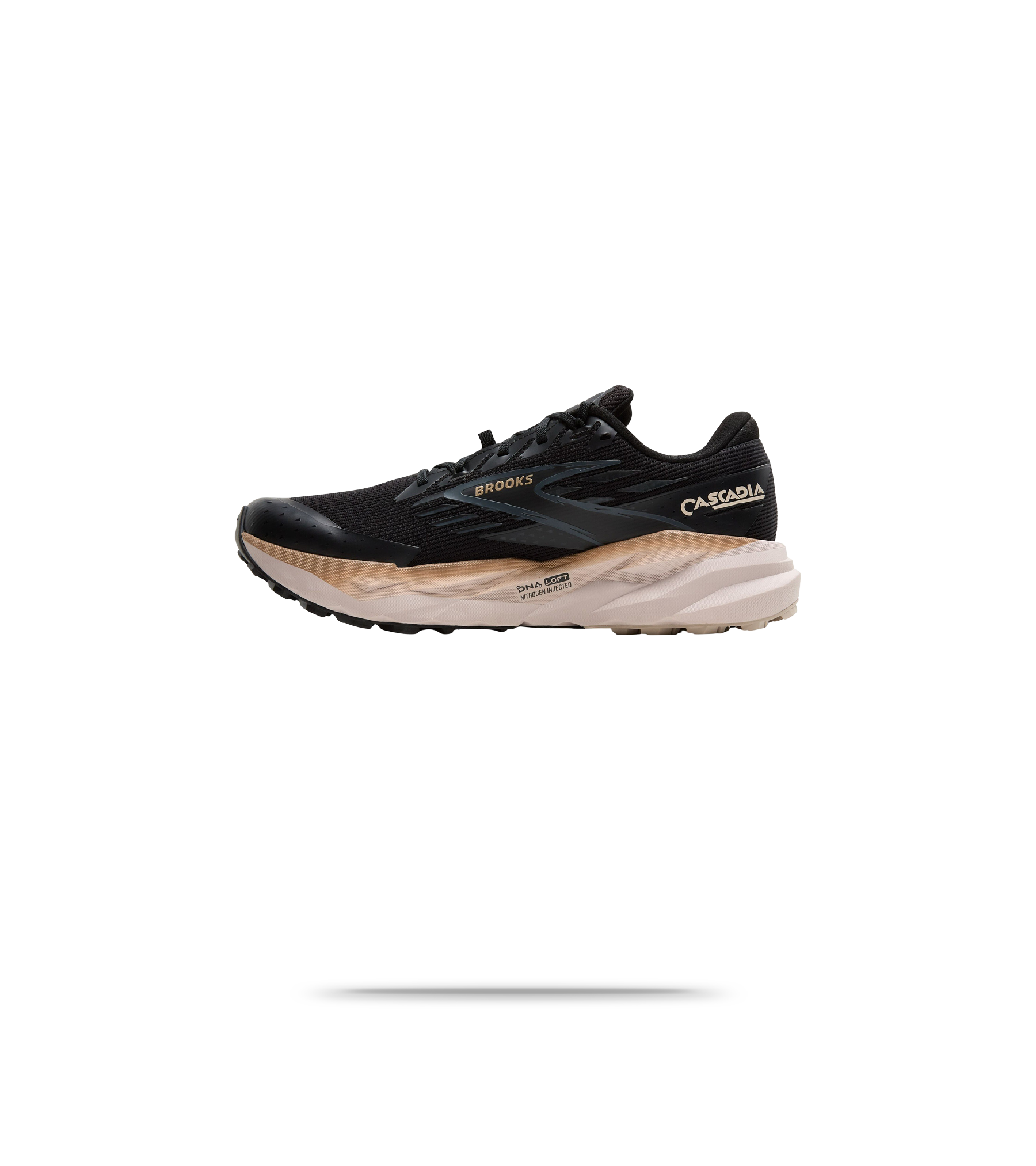Cascadia 19 GTX Trail Running Shoes