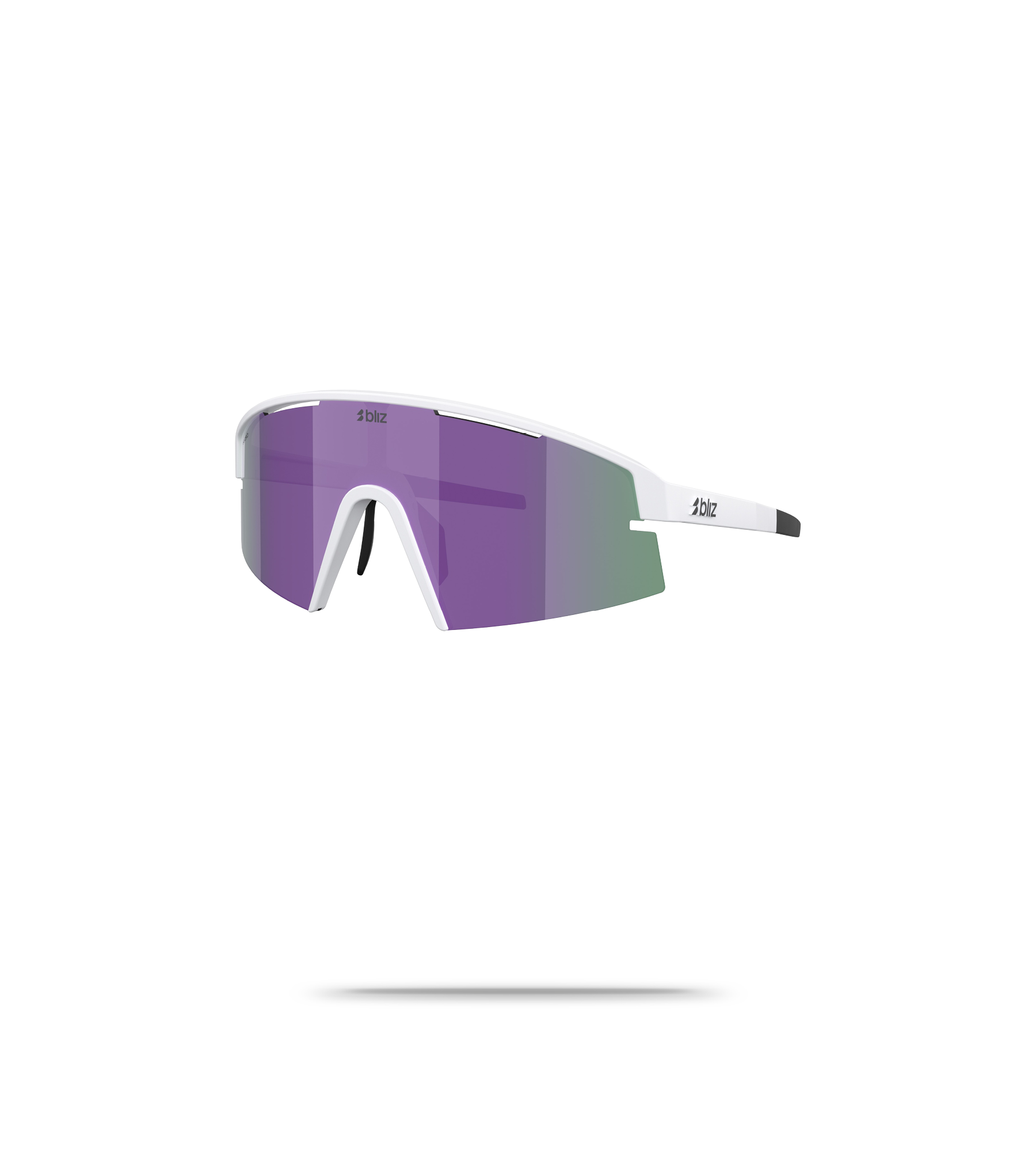 P006S Sunglasses
