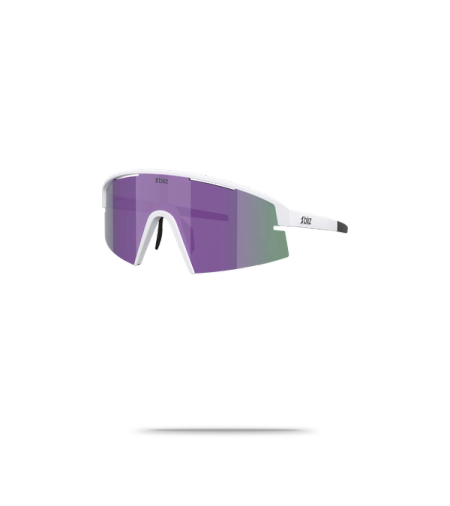 P006S Sunglasses