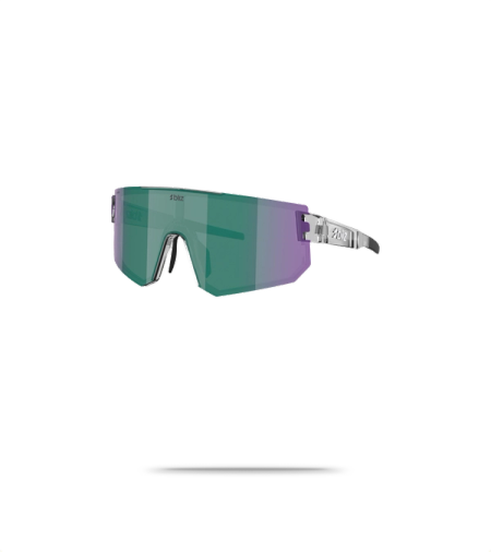 P005S Sunglasses