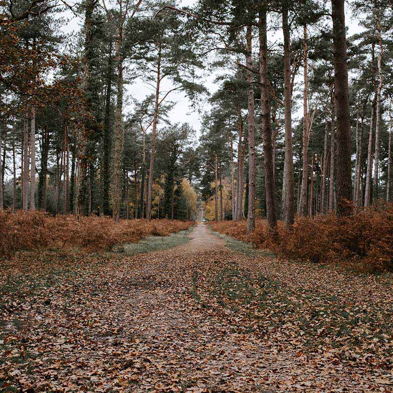 Best Gravel & Bikepacking Routes in the UK