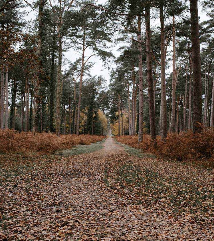 Best Gravel & Bikepacking Routes in the UK