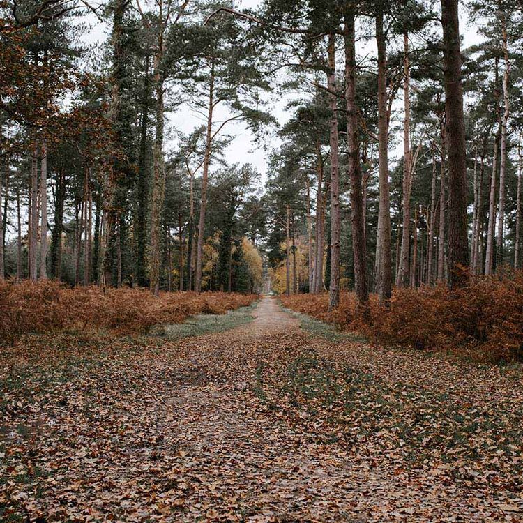 Best Gravel & Bikepacking Routes in the UK