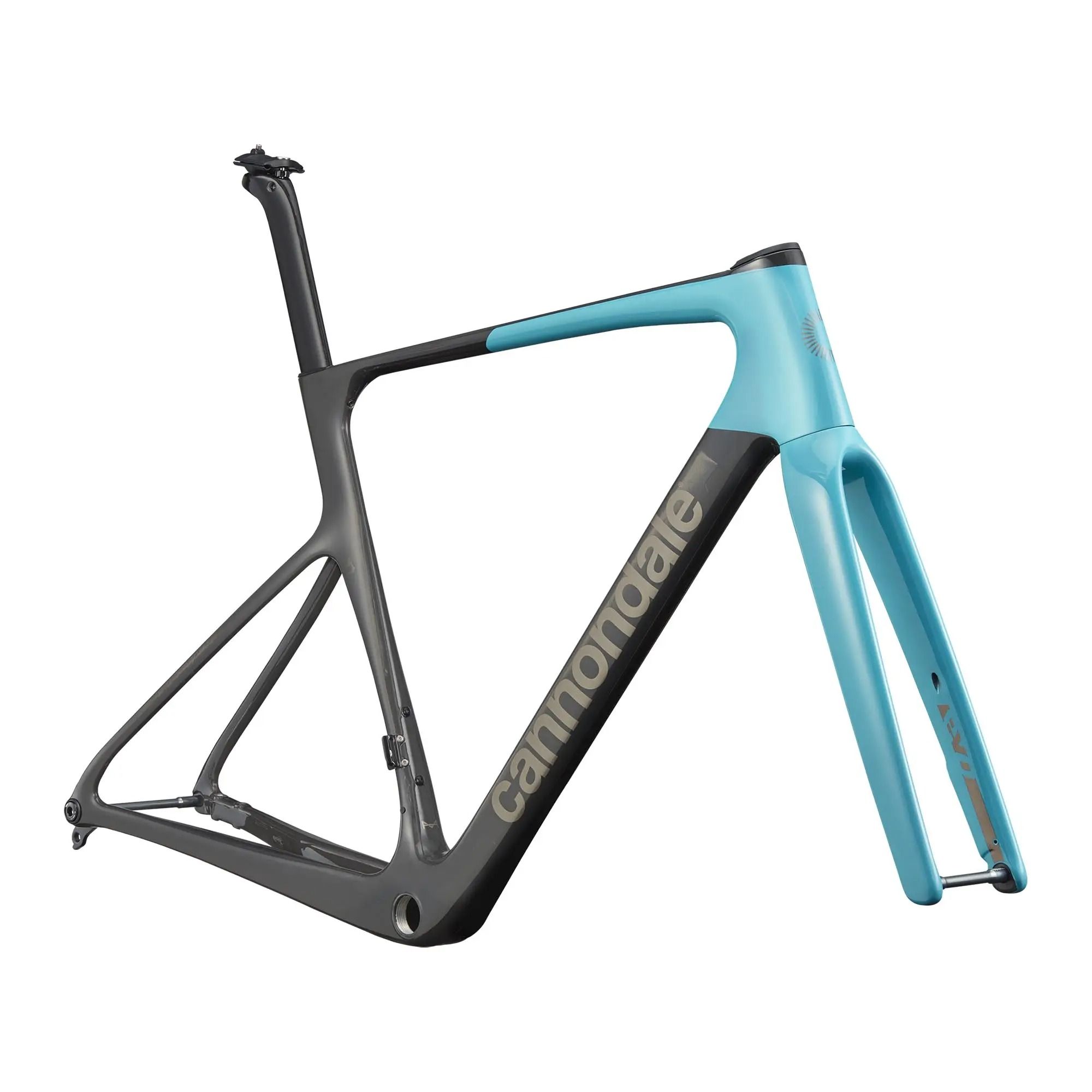 SuperSix EVO Hi-MOD A/M Frameset 2026
