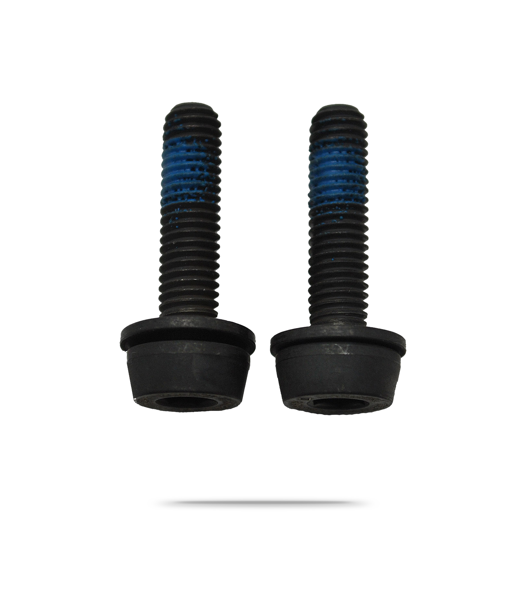 Flat Mount Rear Caliper Bolts