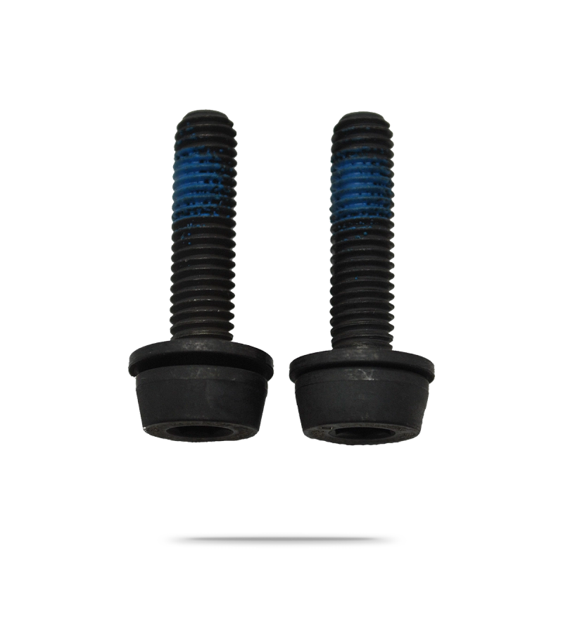 Flat Mount Rear Caliper Bolts