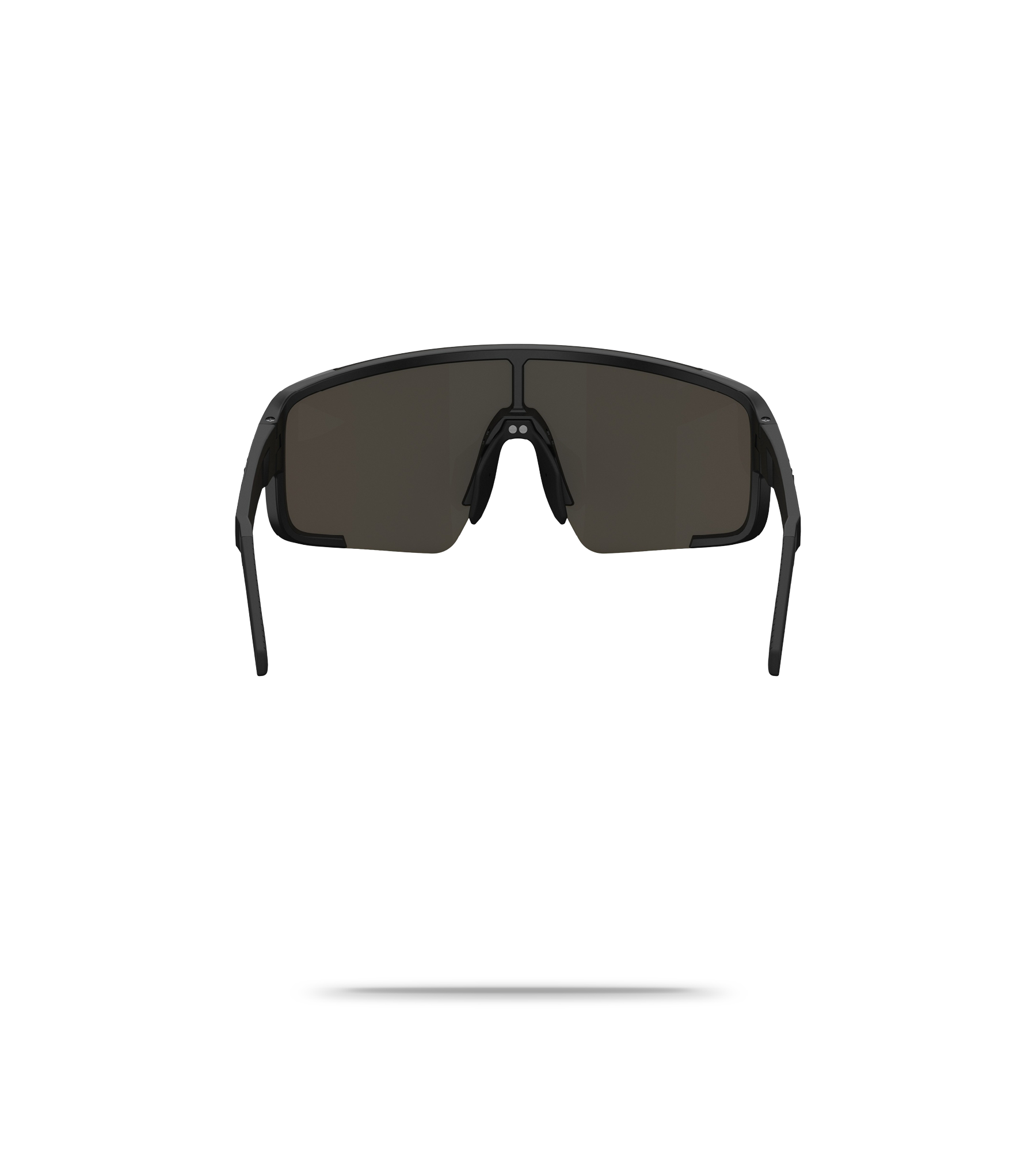 P003 Sunglasses
