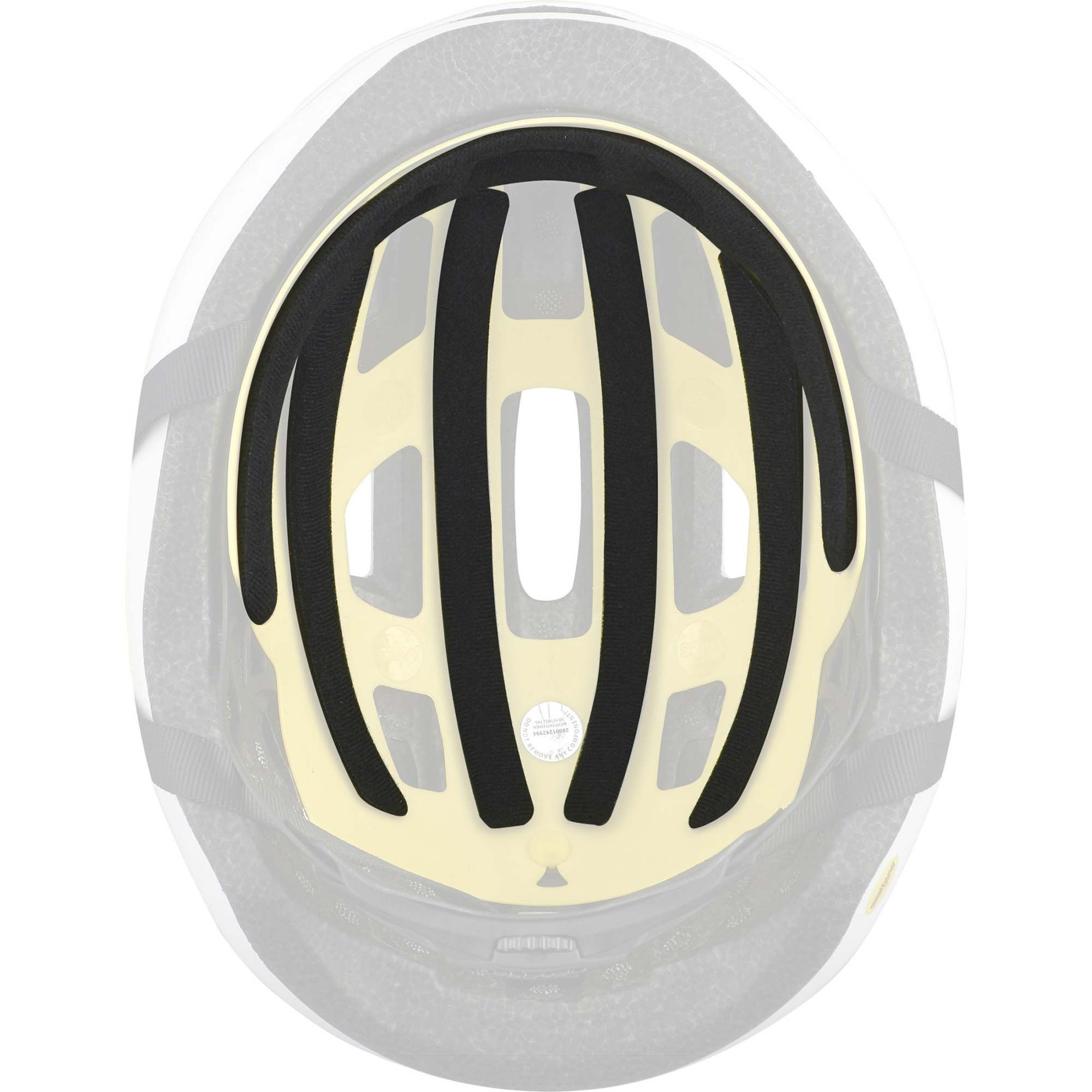 Align II MIPS Cycling Helmet
