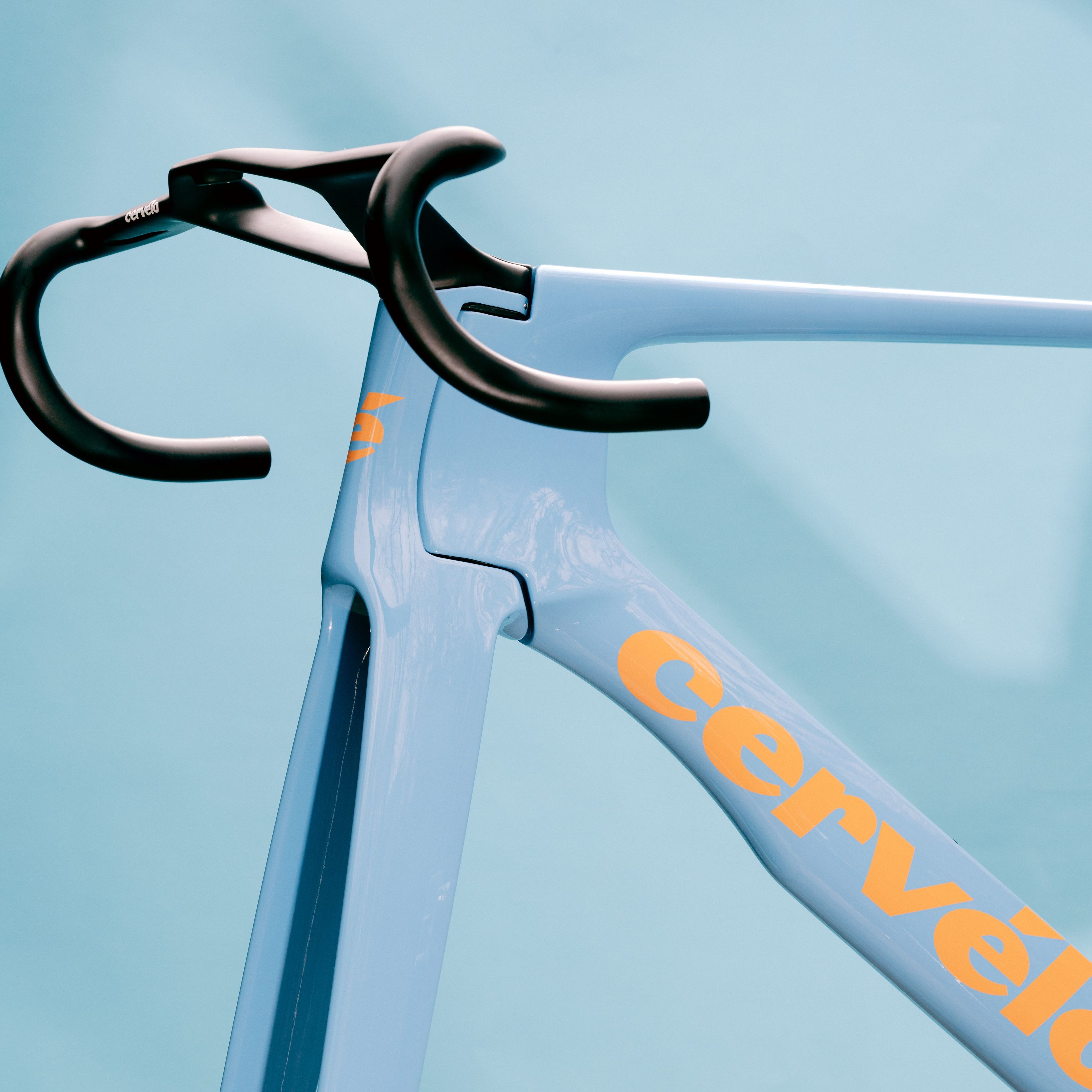 S5 Limited Edition Lupine Frameset