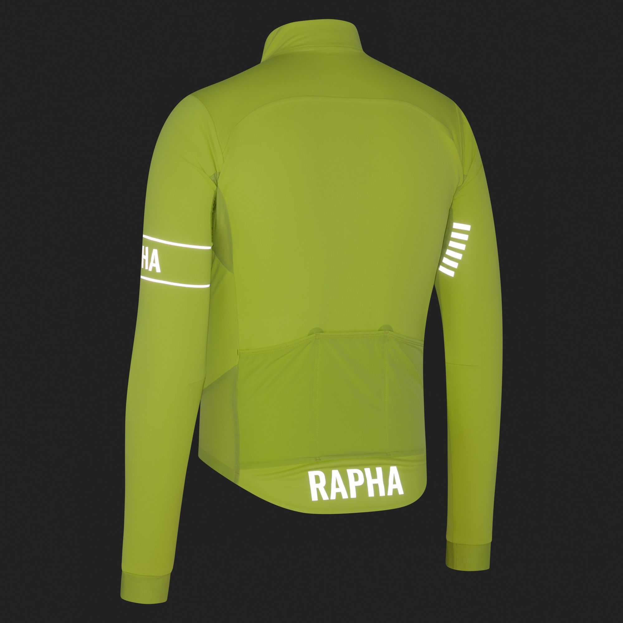 Pro Team Long Sleeve Windstopper Jersey