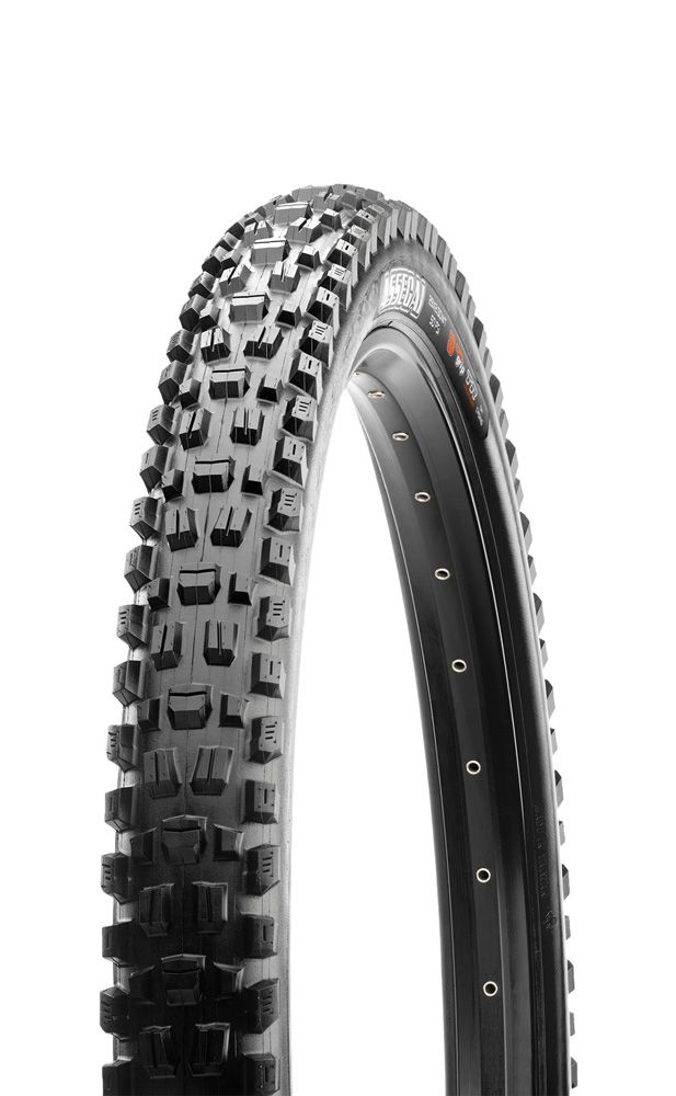Assegai 120 TPI Foldable 3C MaxxTerra EXO/TR MTB Tyre