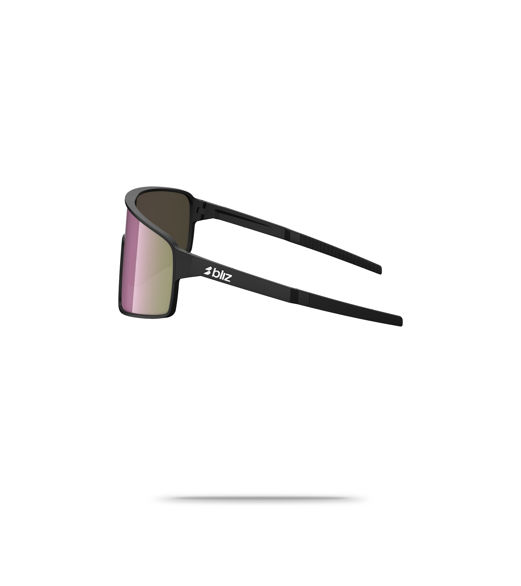 P001S Sunglasses