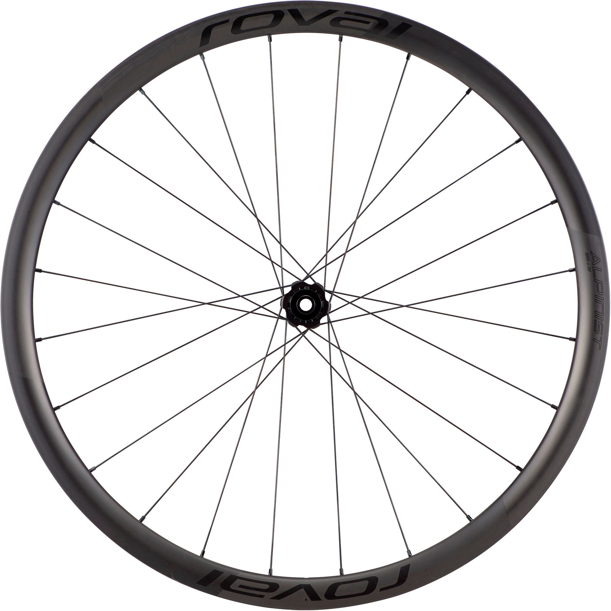 Alpinist CL II Disc Rear Wheel