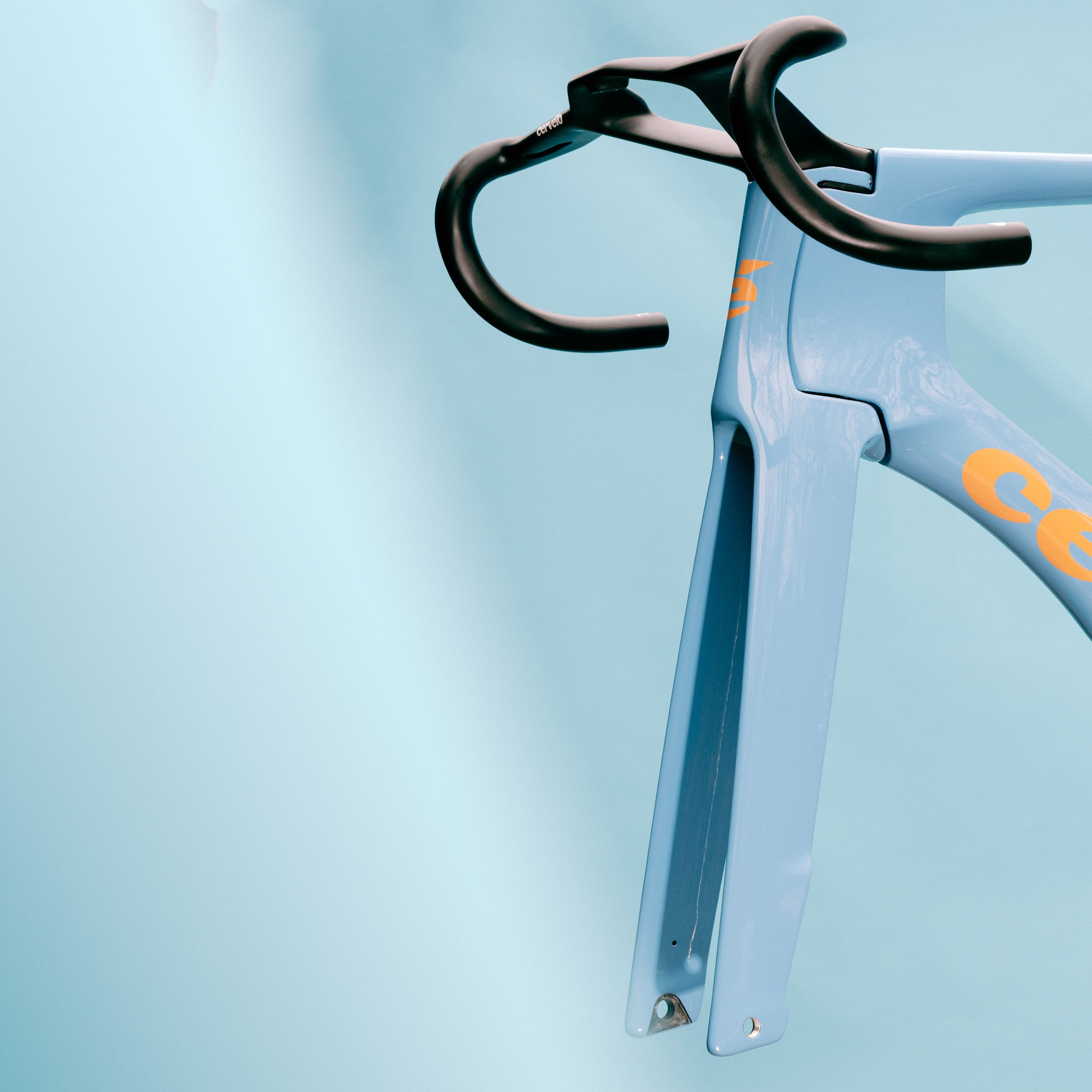 S5 Limited Edition Lupine Frameset