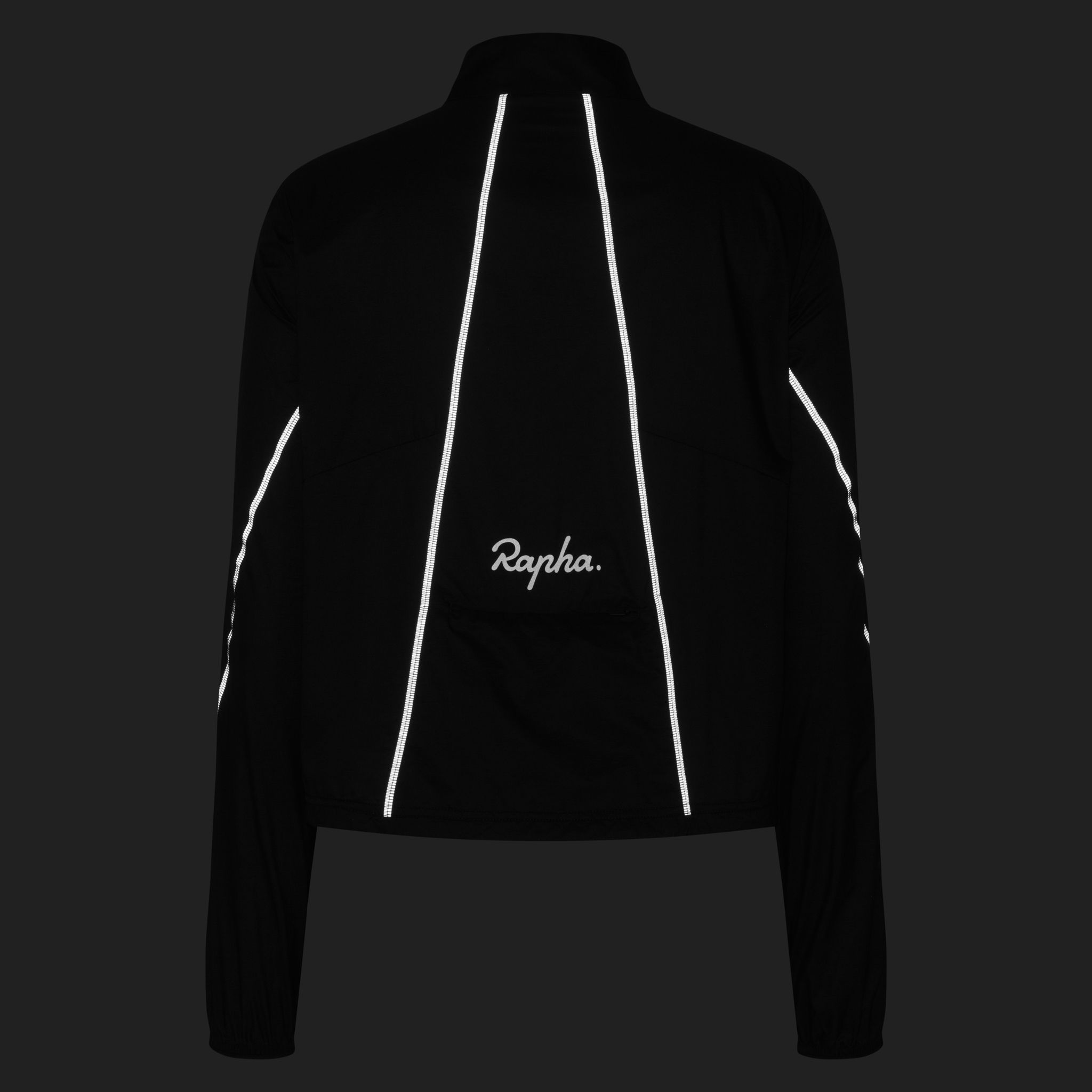 Women's Brevet Element Wind Jacket