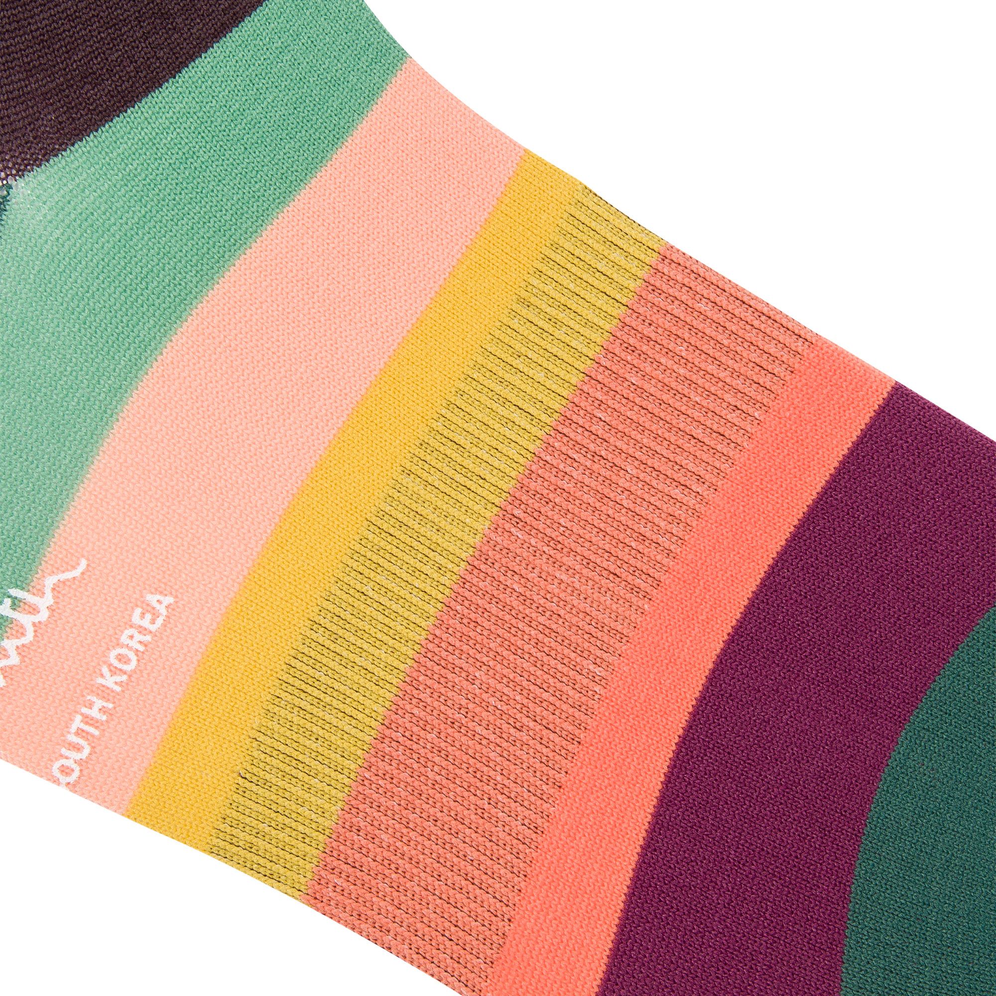 Artist Stripe Cycling Socks