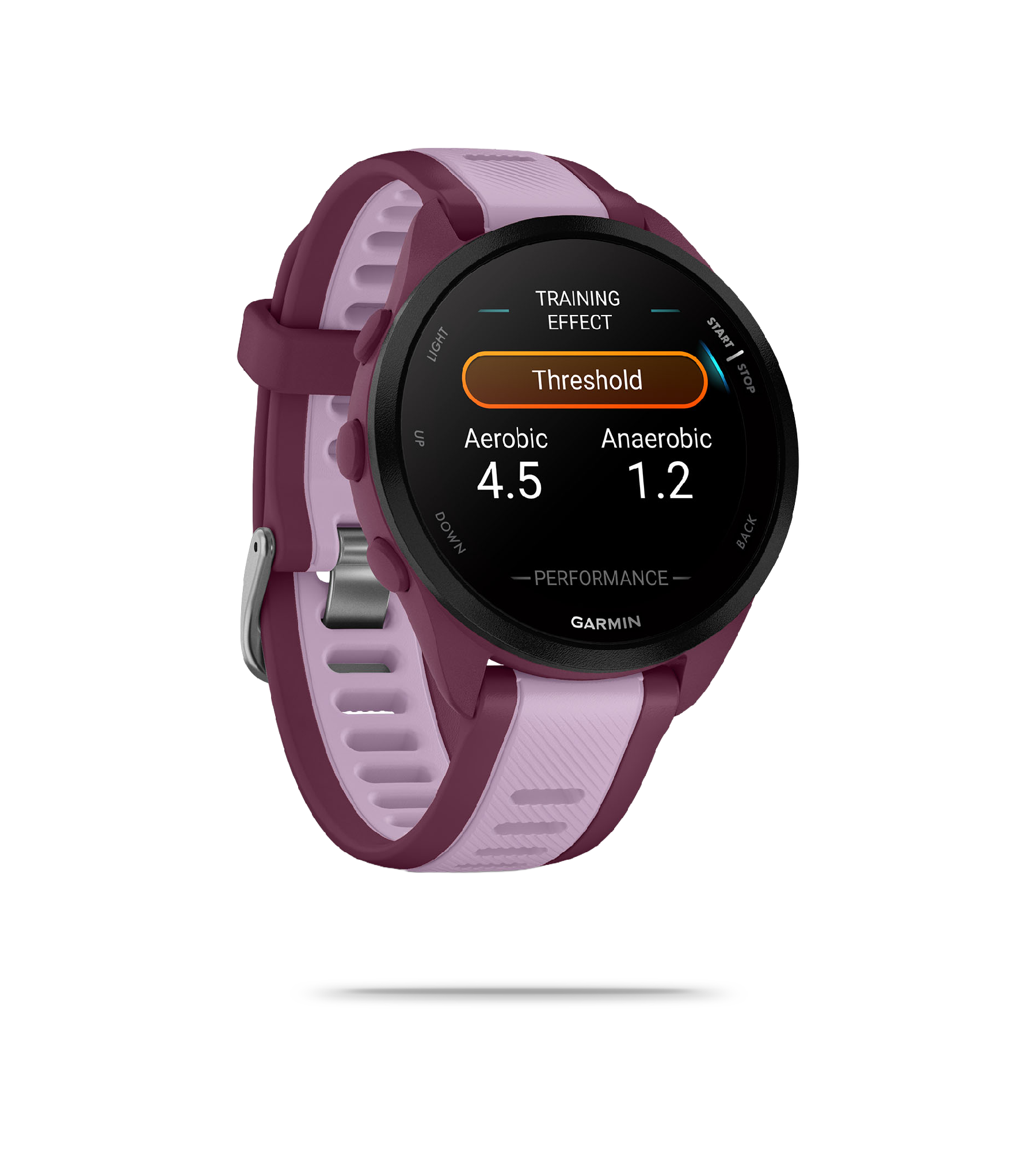 Forerunner 165 Music GPS Watch