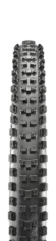 Dissector 3C MaxxTerra EXO TR MTB Tyre