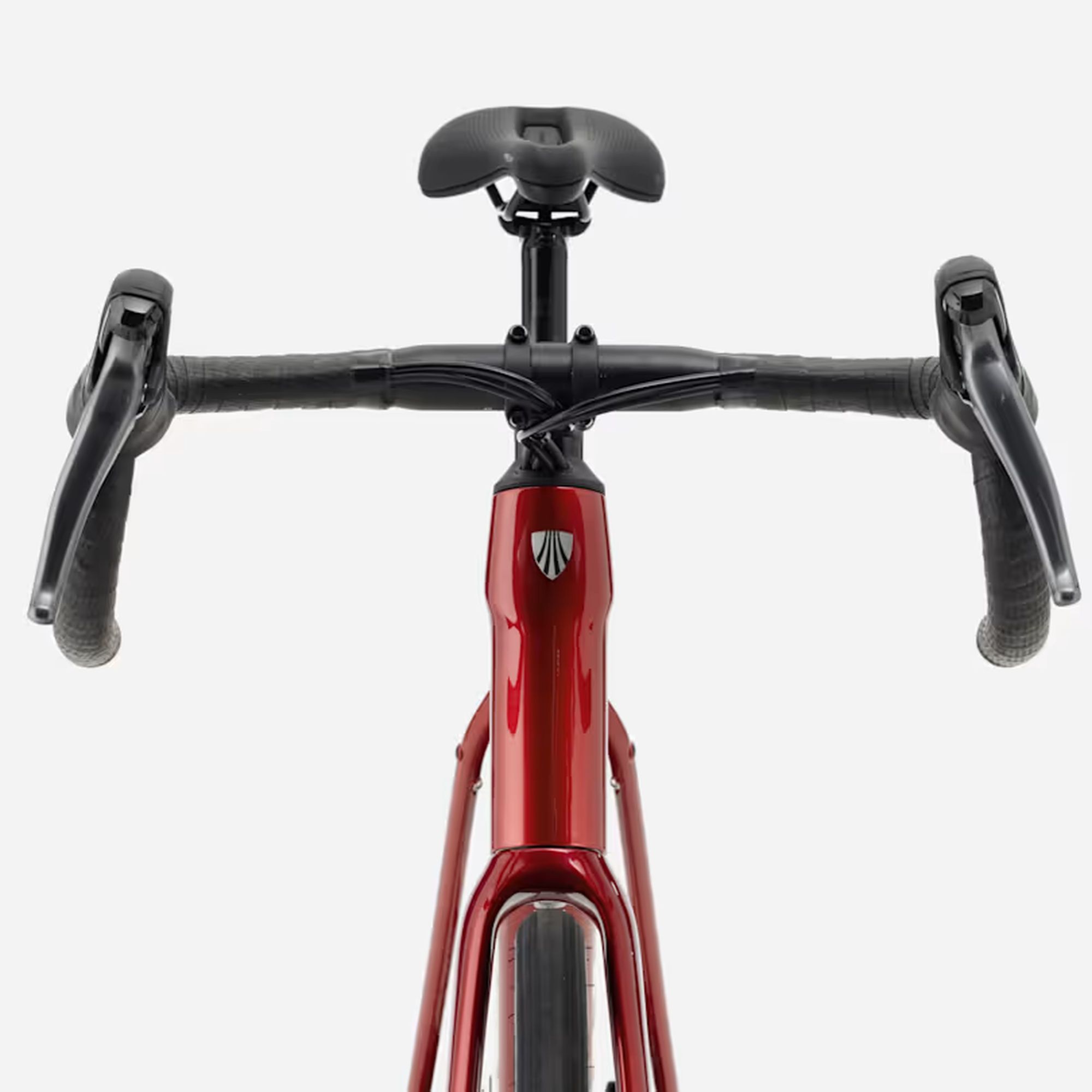 Domane AL 2 Gen 4 Road Bike 2027
