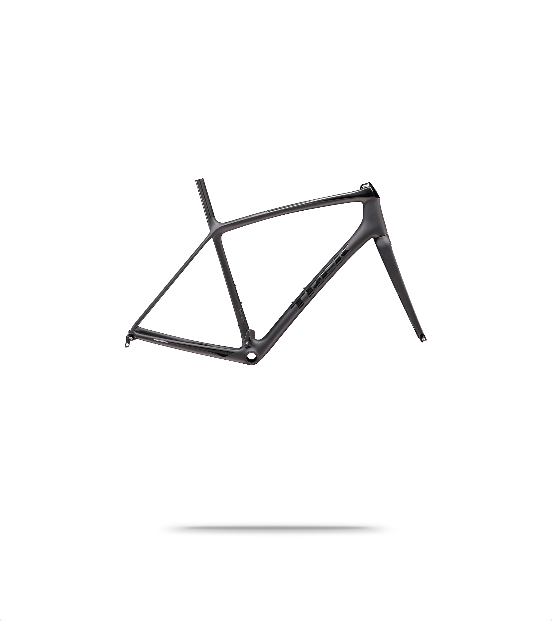 Emonda SLR H2 Road Frameset 2024