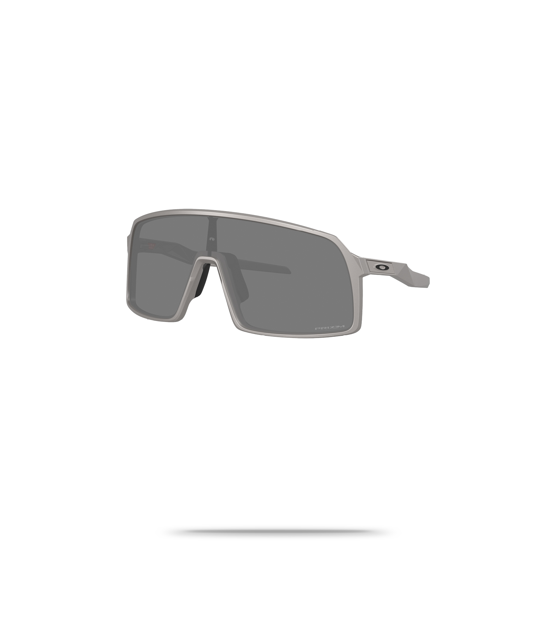 Titanium - Prizm Black Lens