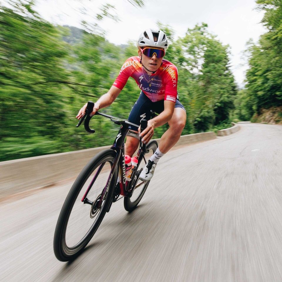 Specialized Bikes