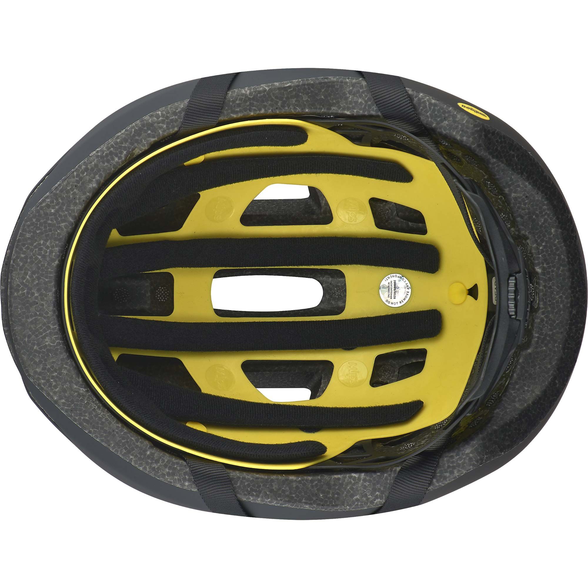 Align II MIPS Cycling Helmet