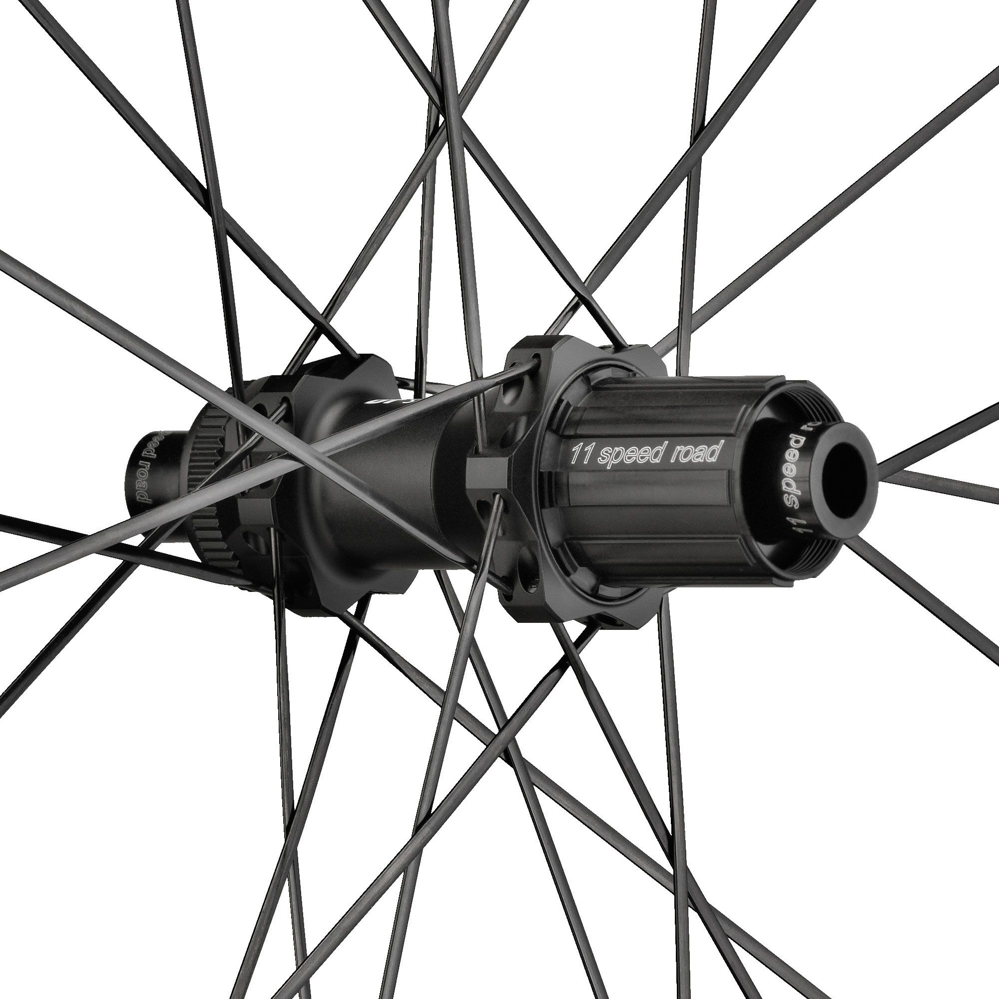 P 1800 SPLINE 23 Disc Brake Rear Wheel