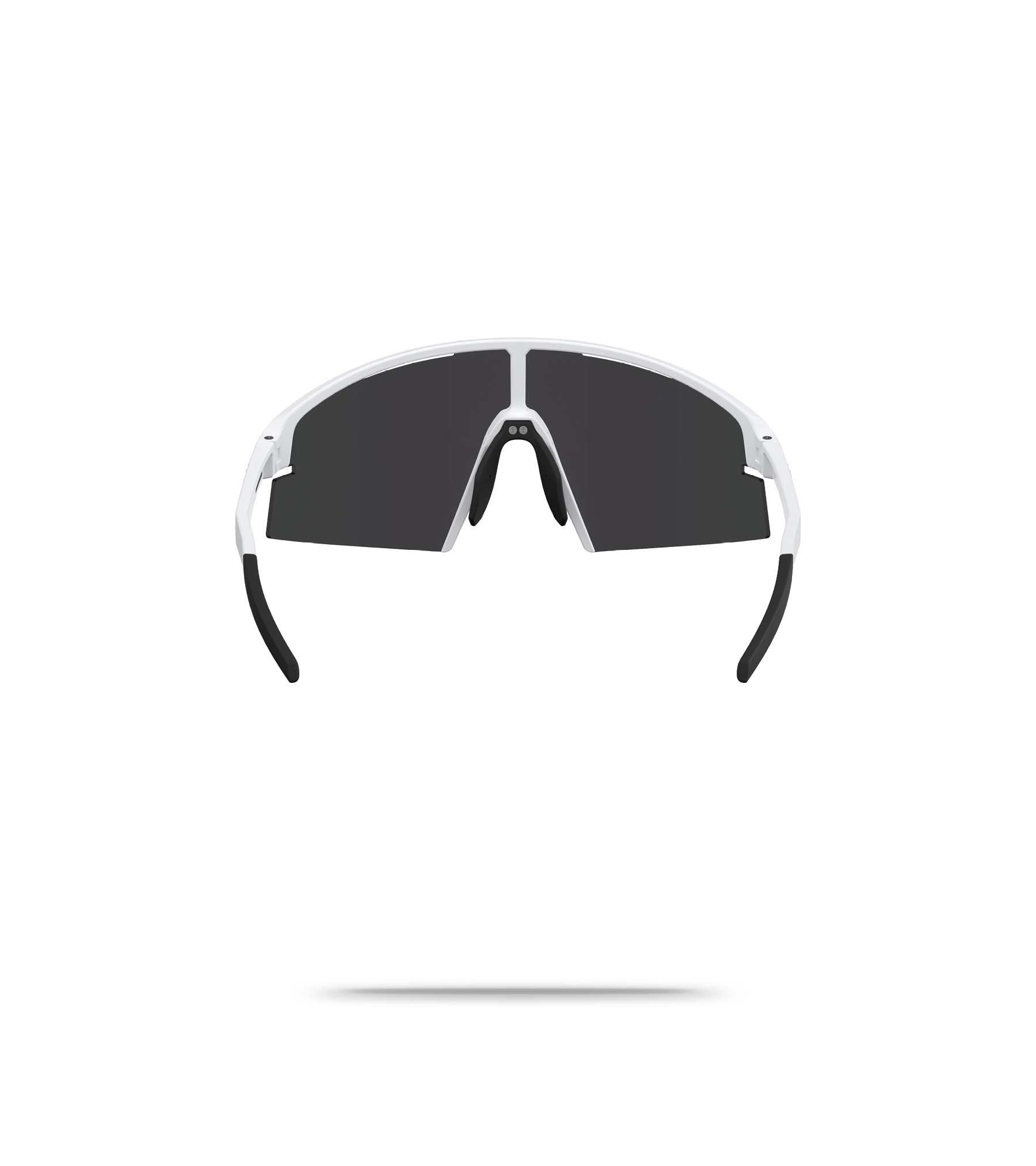 P006S Sunglasses