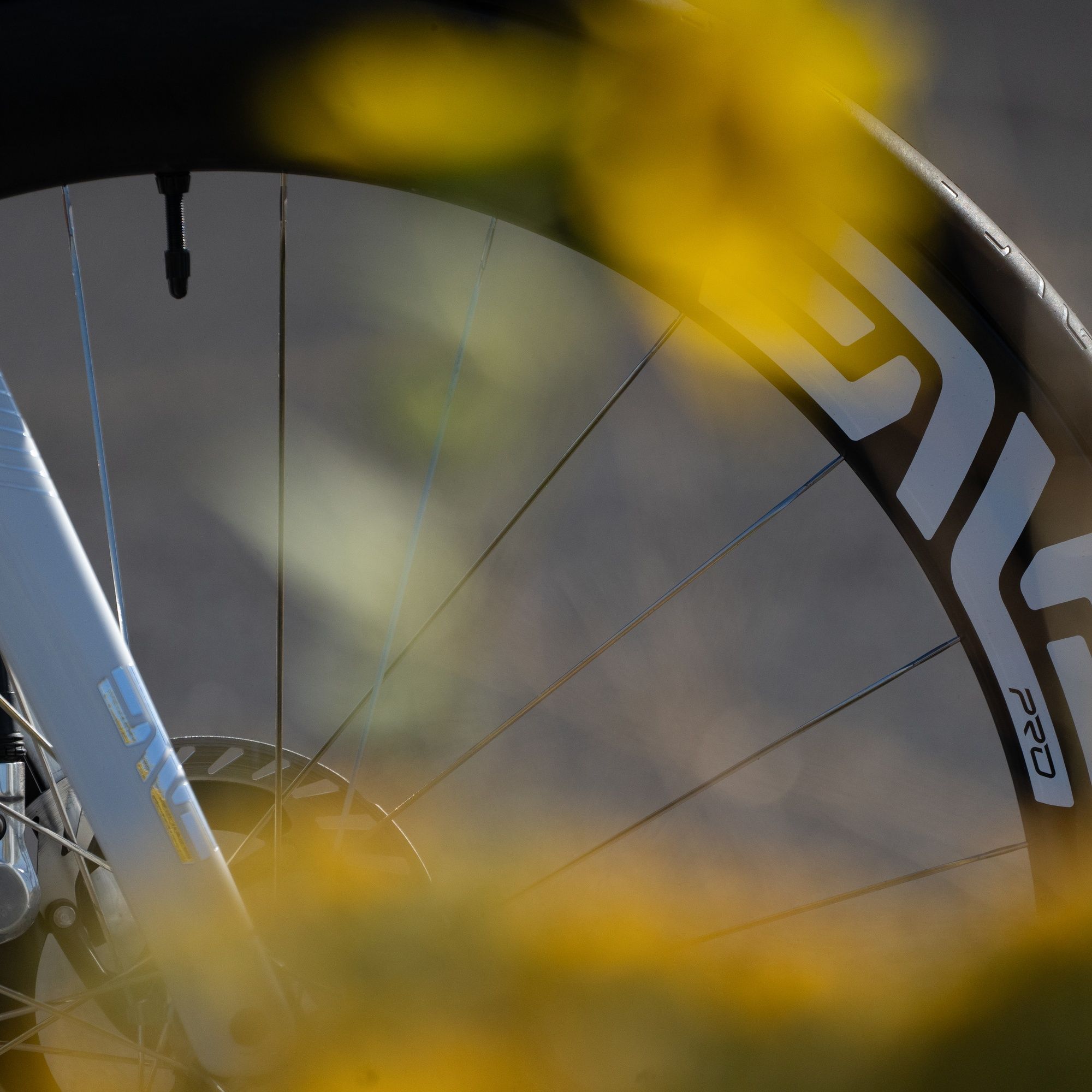 SES 6.7 Pro Carbon Front Wheel