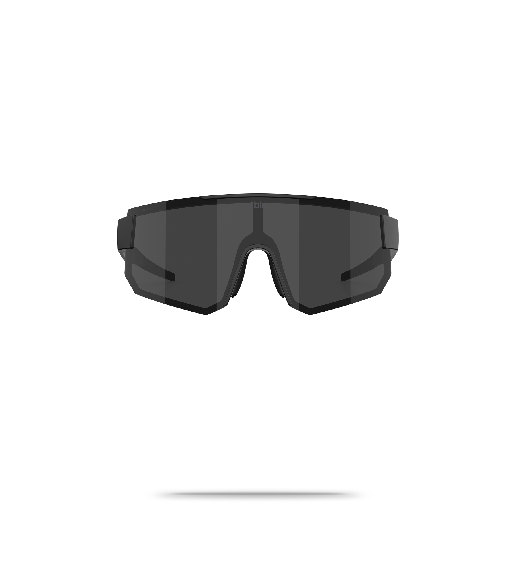 P005S Sunglasses