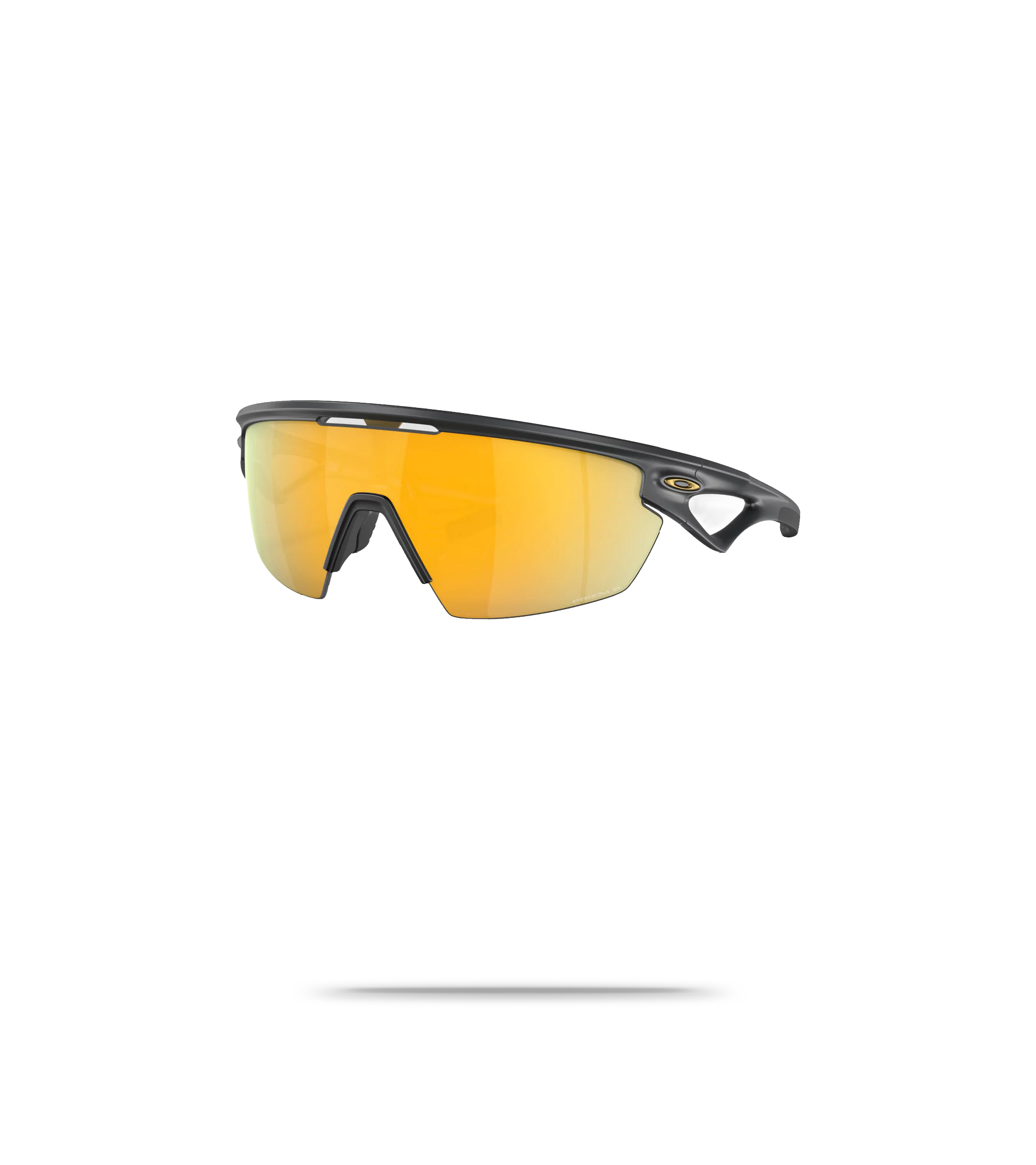 Matte Carbon / 24K Gold Prizm Polarized