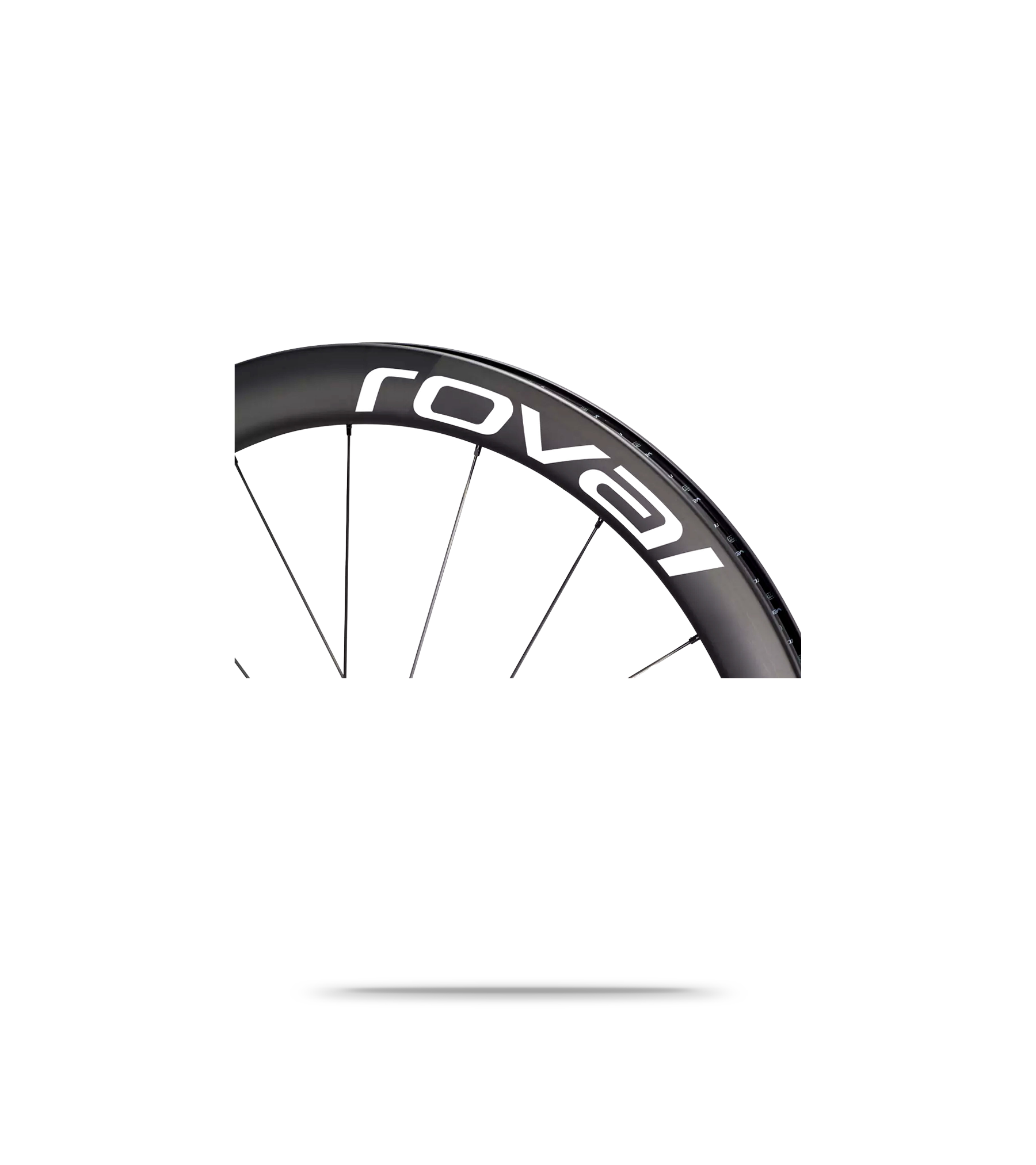 Rapide CLX II Disc Rear Wheel