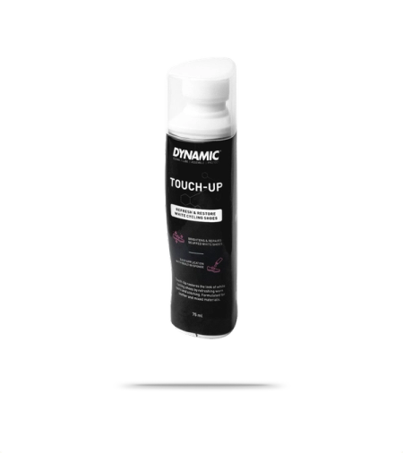 Dynamic Touch Up Kit