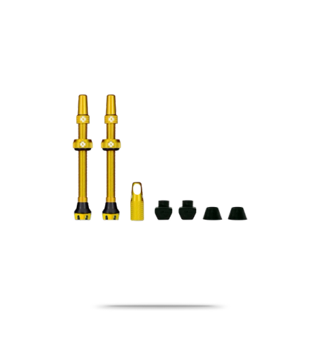 Tubeless Valve Kit V2