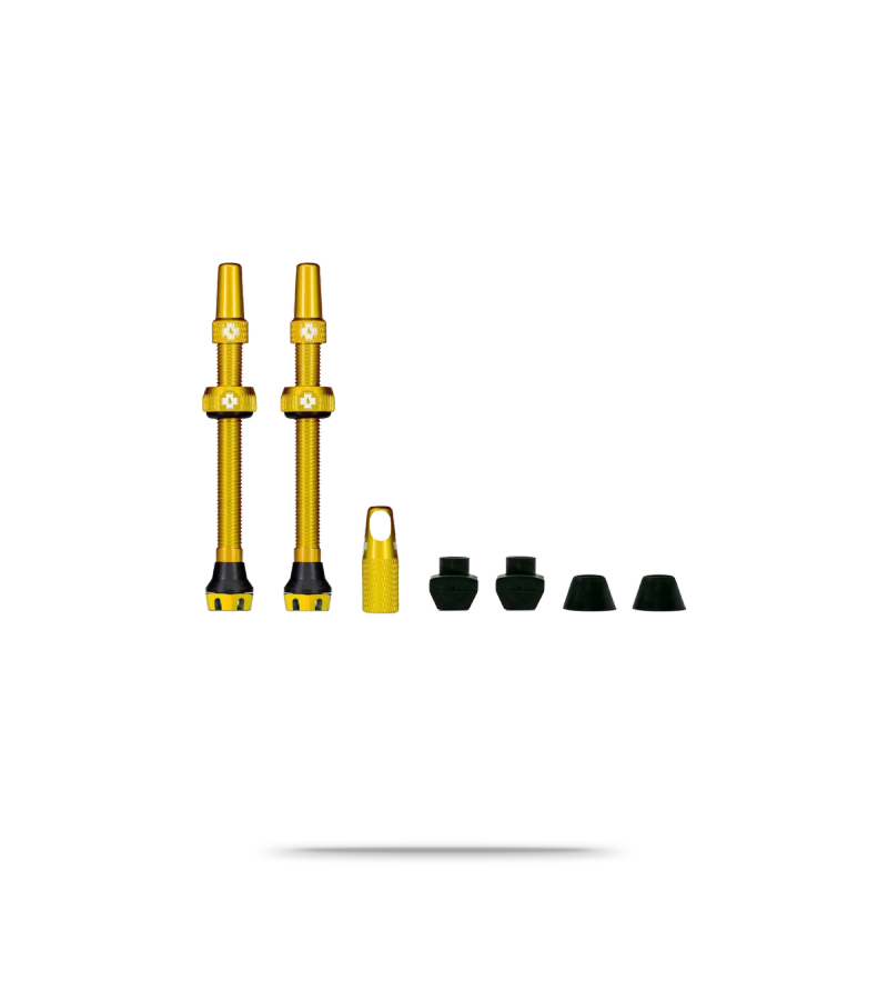 Tubeless Valve Kit V2