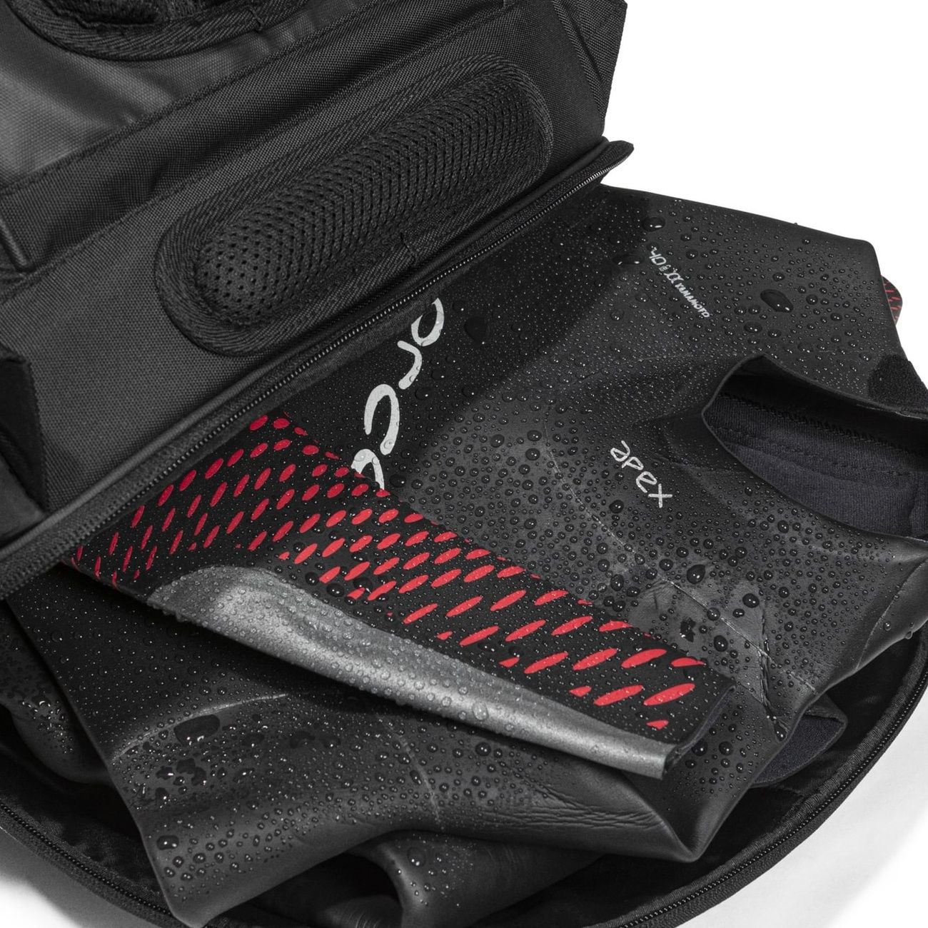 Transition Bag