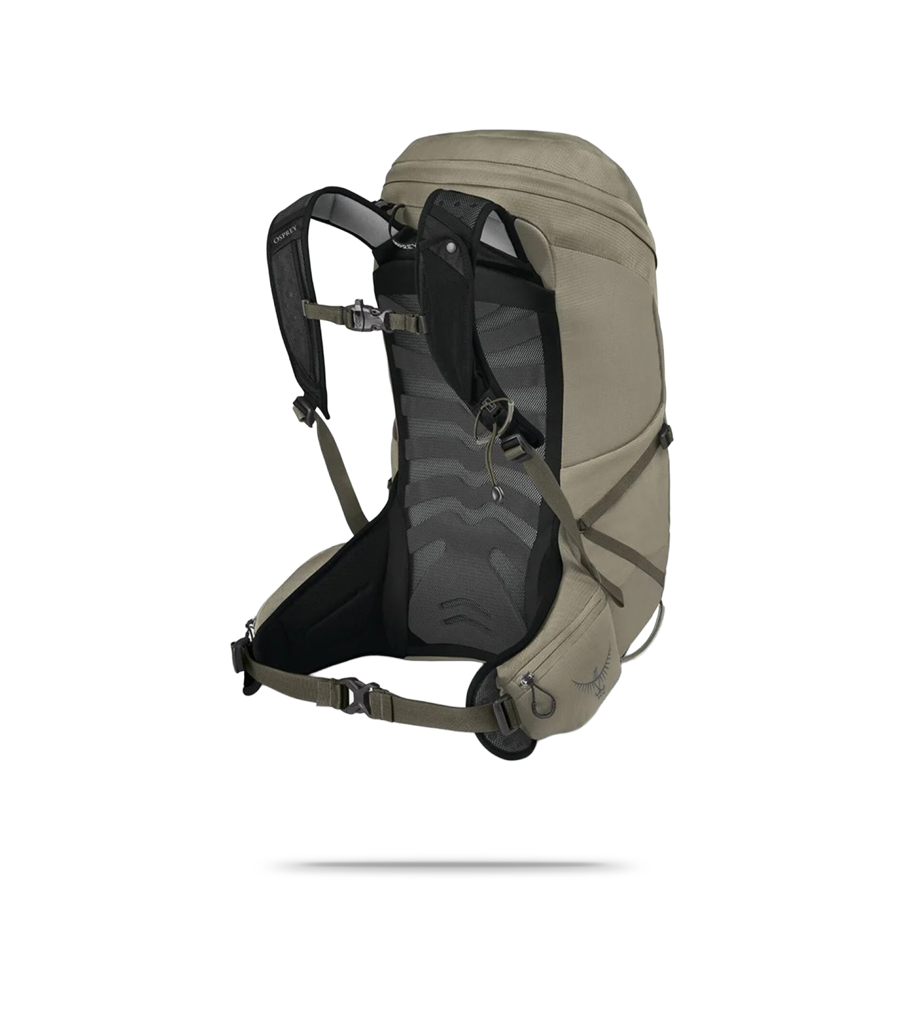 Talon 26 Mountain/Trail Backpack