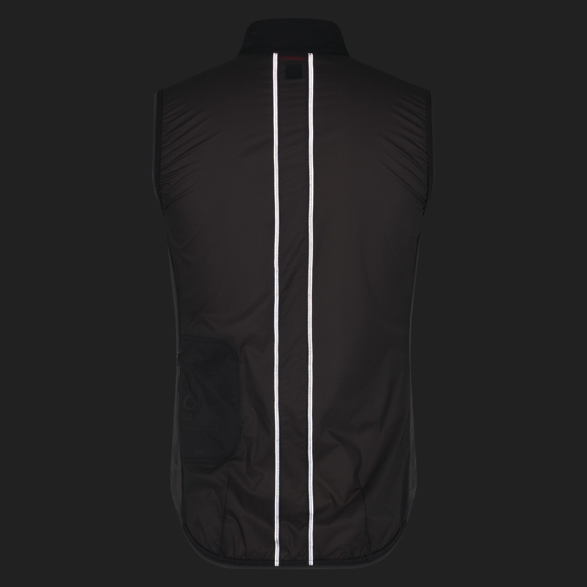 Brevet Element Wind Gilet