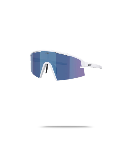 P006 Sunglasses