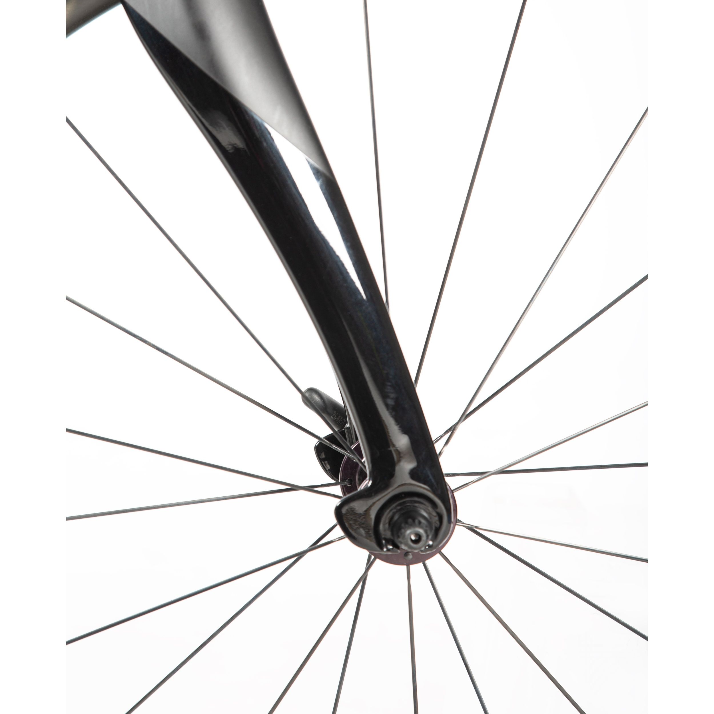 Dogma F Custom Build 55cm - Approved Used