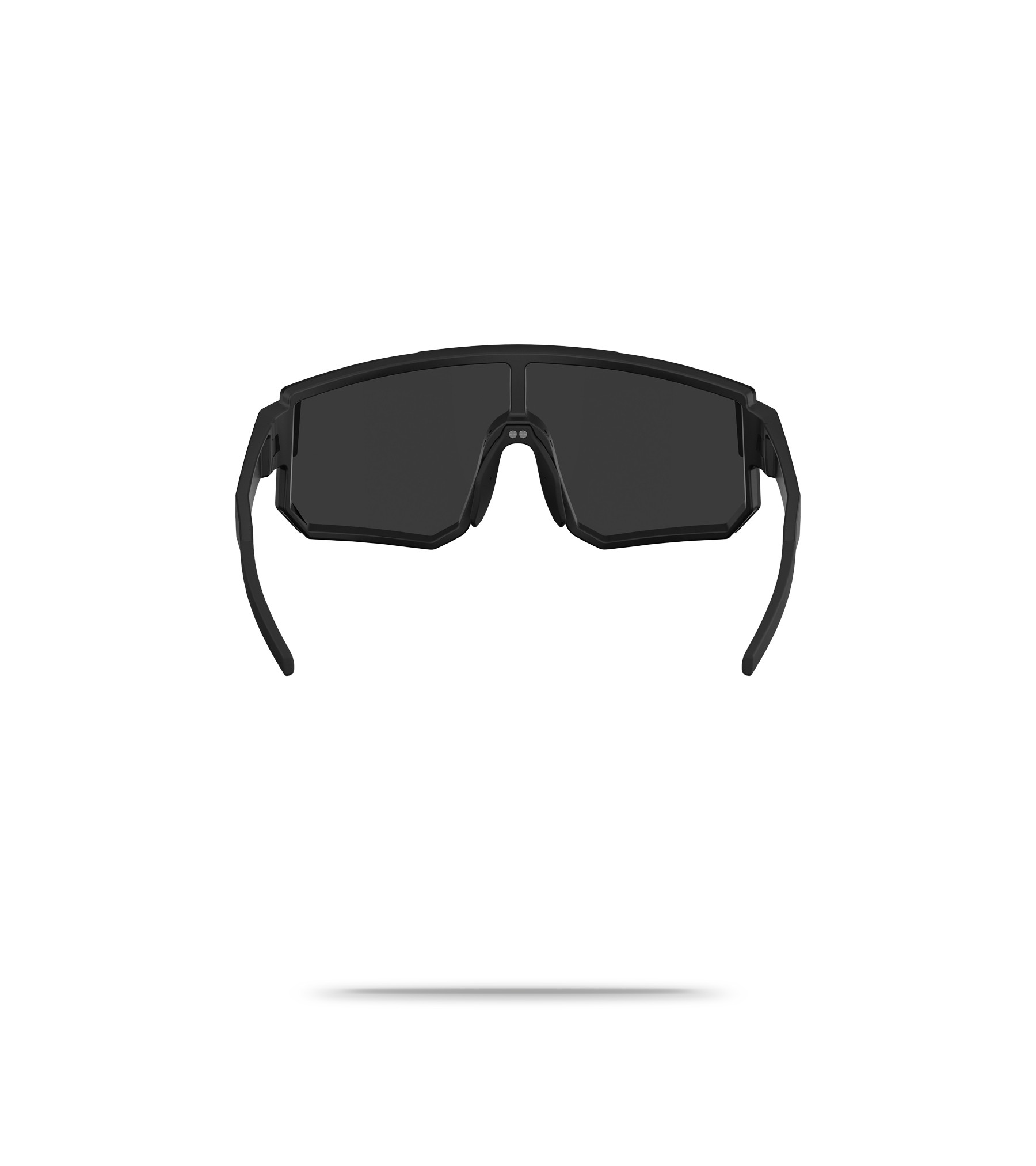 P005S Sunglasses