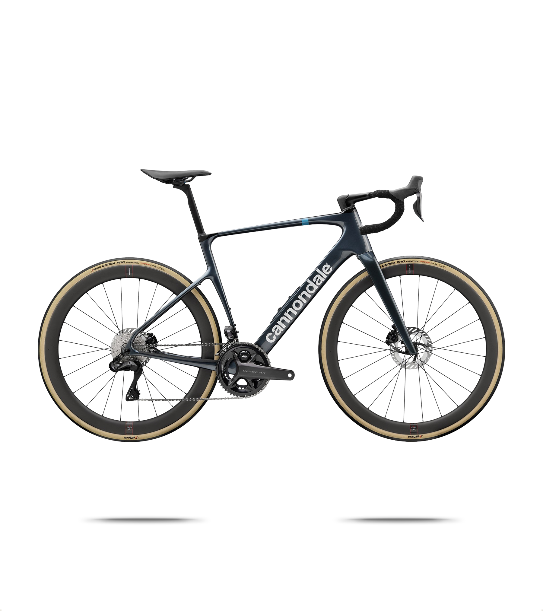 Synapse Carbon 1 Endurance Road Bike